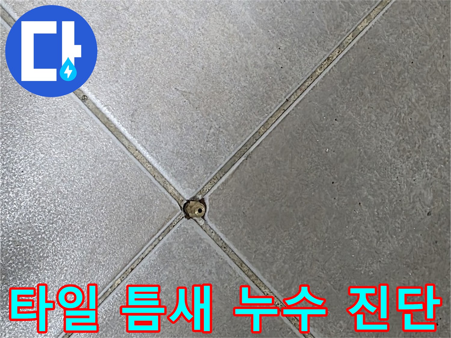 양주시 옥정동 율정마을 아파트 타일 틈새 누수 - 누수탐지 전문가의 정확한 진단과 해결 과정을 확인하세요.