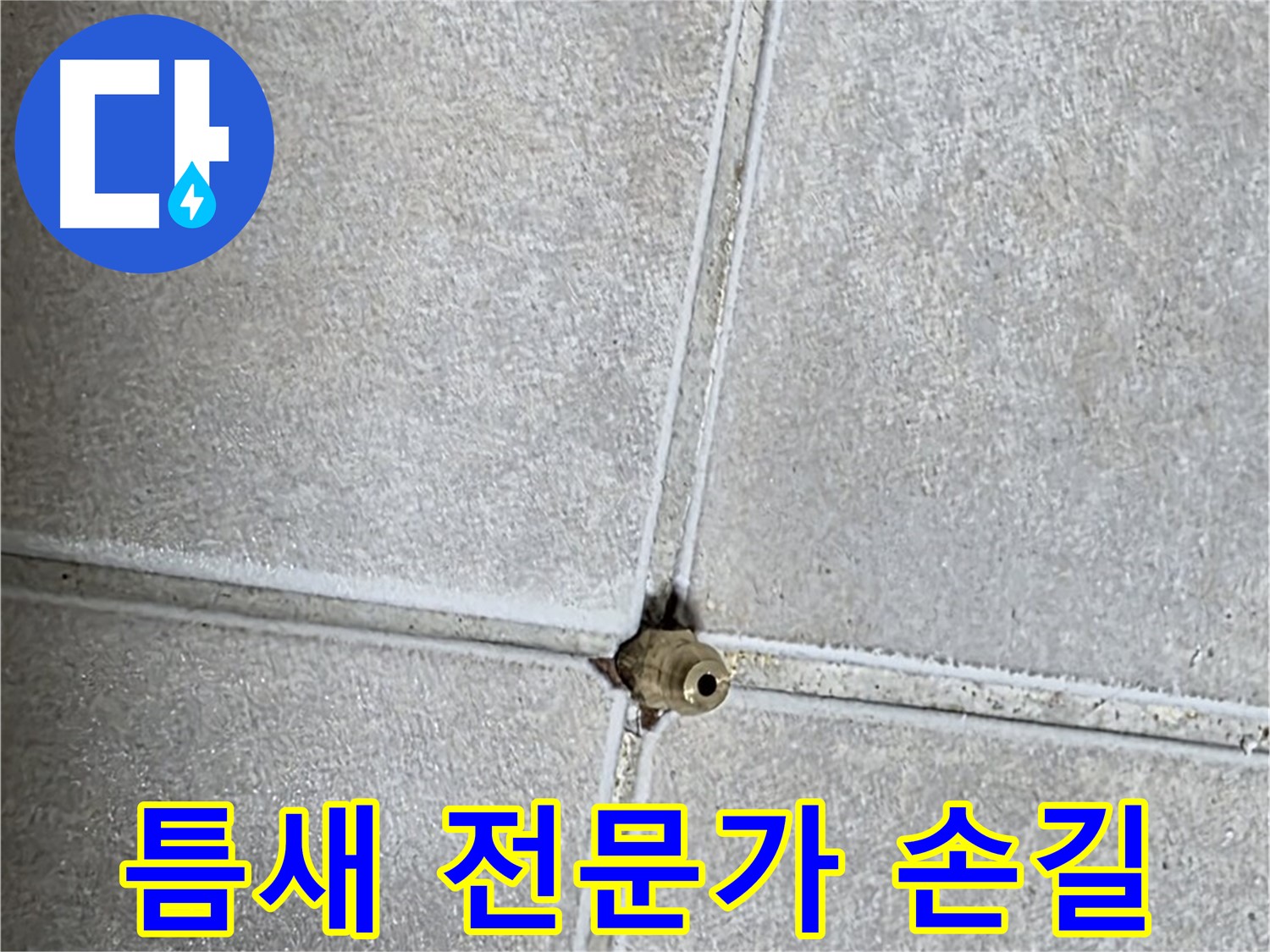 옥정 율정마을 아파트 누수 - 타일 틈새 누수, 방수 전문가의 꼼꼼한 손길로 완벽하게 해결합니다.