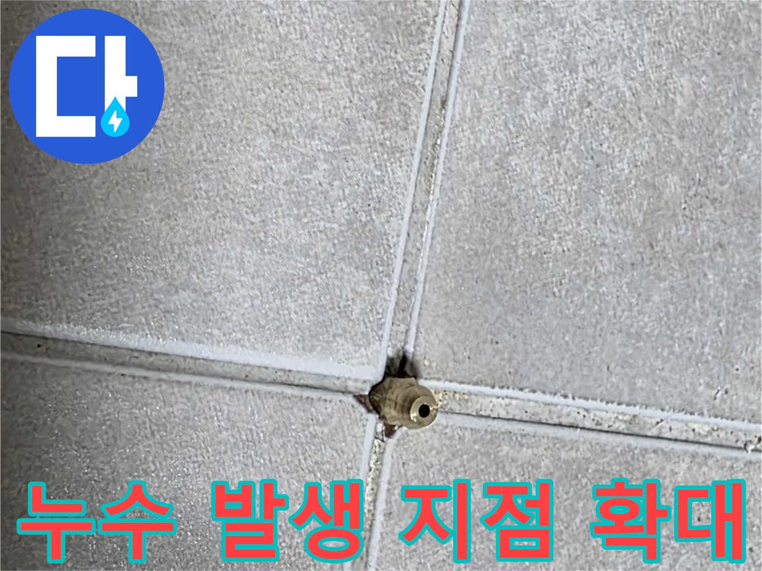 옥정 율정마을 아파트에서 발생한 타일 틈새 누수 지점 확대 사진 - 작은 틈새도 놓치지 않고 꼼꼼하게 확인합니다.