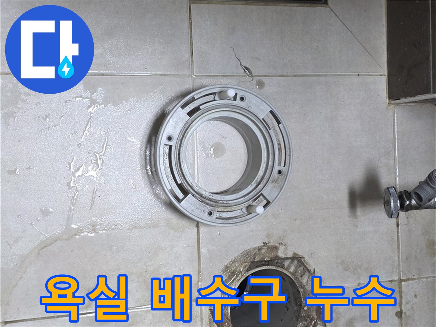 옥정동 율정마을 13단지 아파트 욕실 배수구 주변 누수 - 정확한 탐지와 꼼꼼한 보수