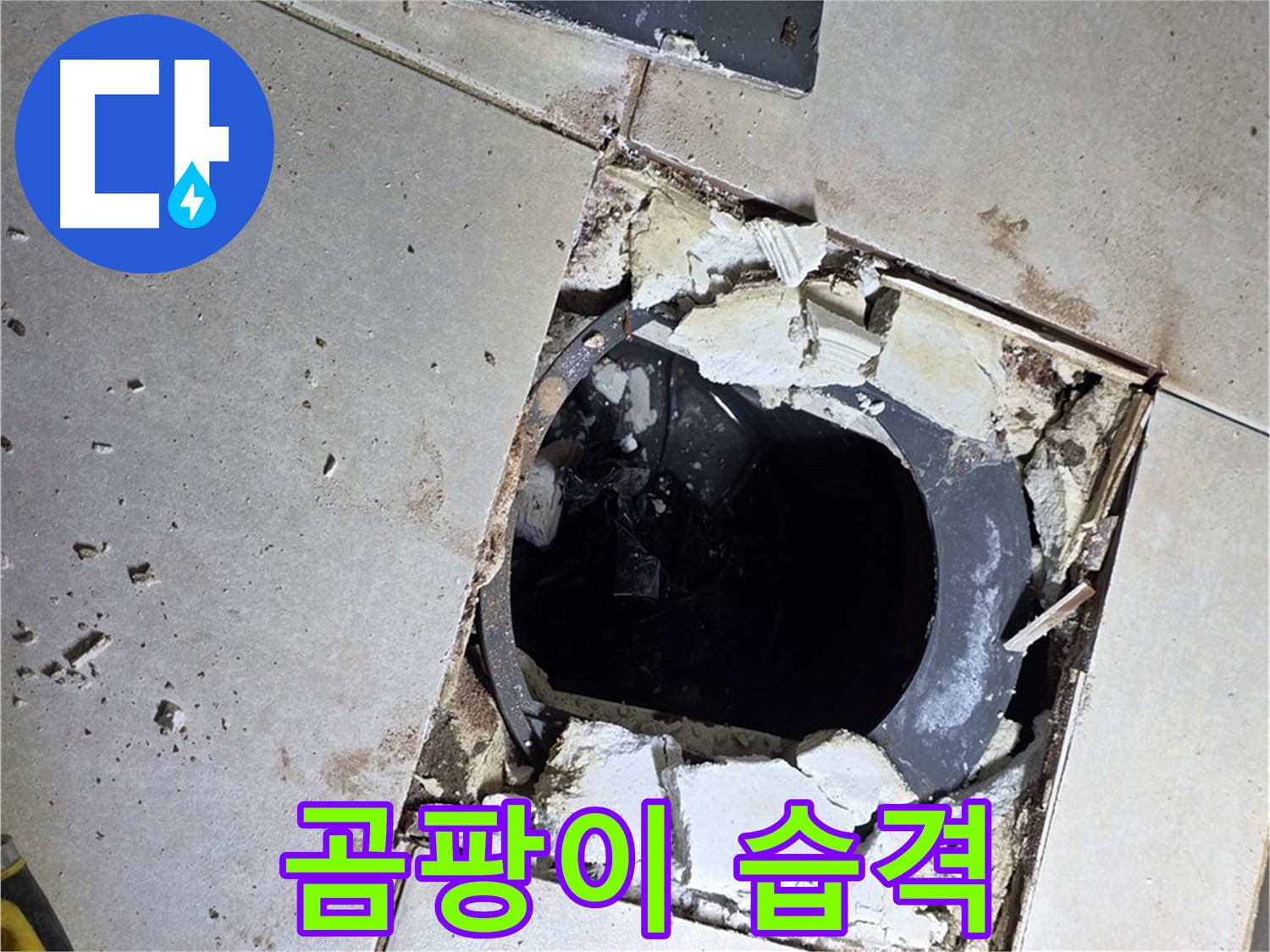옥정동 율정마을13단지 욕실 누수 - 깨진 타일과 함께 드러난 곰팡이의 습격