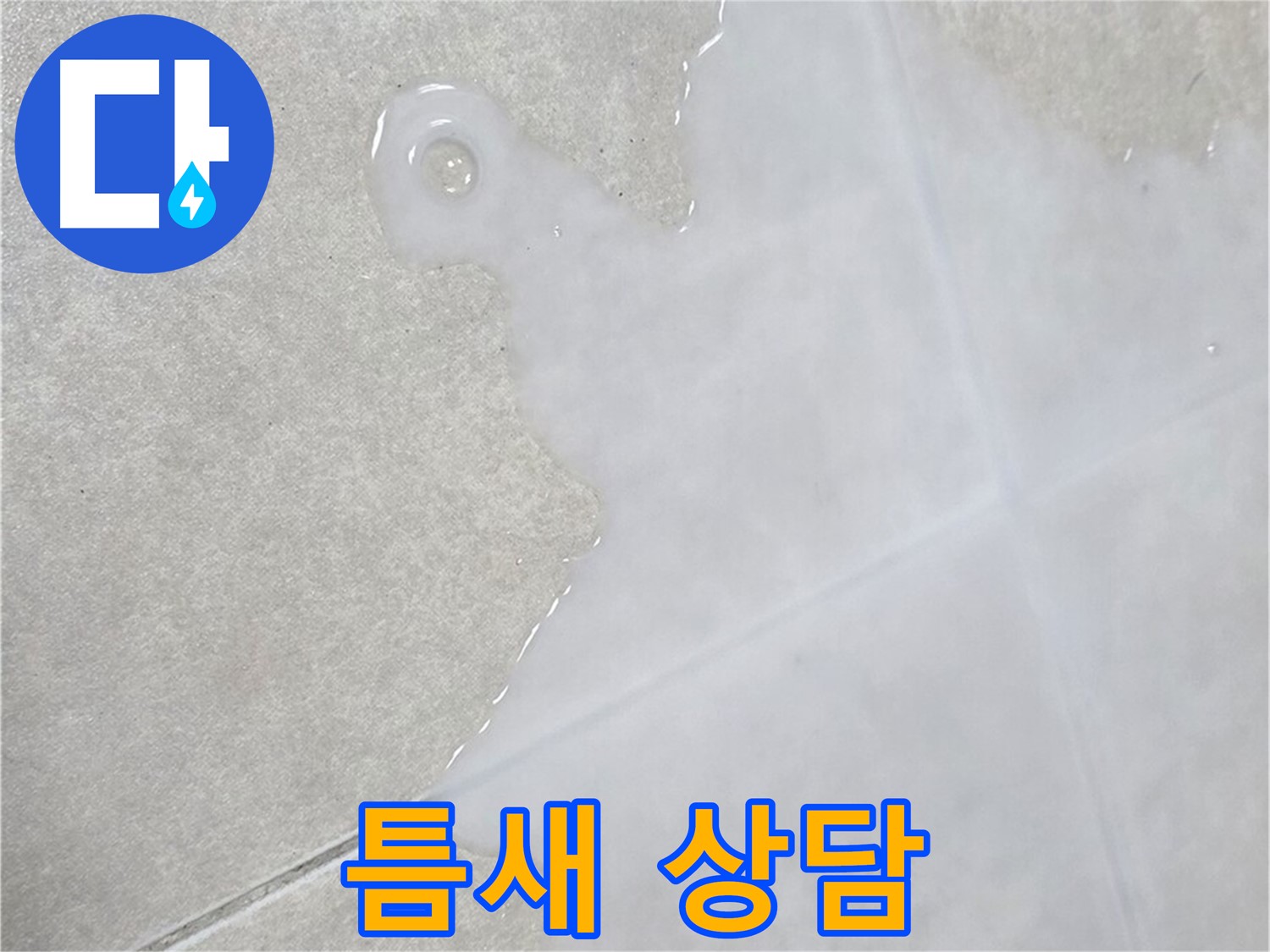 옥정신도시 율정마을 아파트 타일 틈새 물 - 초기 점검 및 전문적인 상담