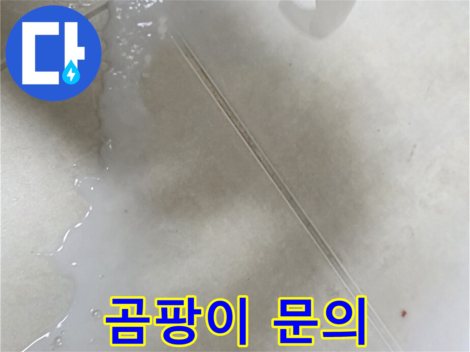 율정마을 누수 - 곰팡이 방지 방수액 셀프 시공 후 곰팡이 발생 시 전문가에게!