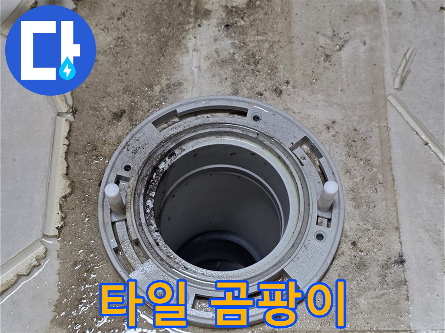타일 틈새에 핀 곰팡이 - 누수로 인해 습기가 많아 곰팡이가 번식한 모습입니다.