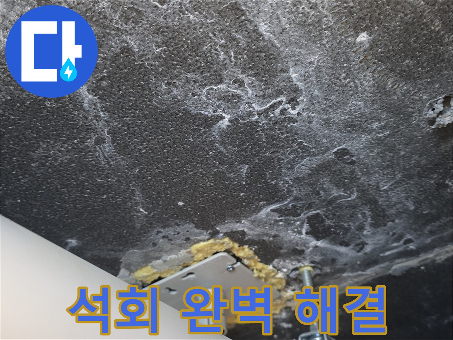 동패동 아파트 천장 누수 석회 - 누수 문제 완벽 해결 완료