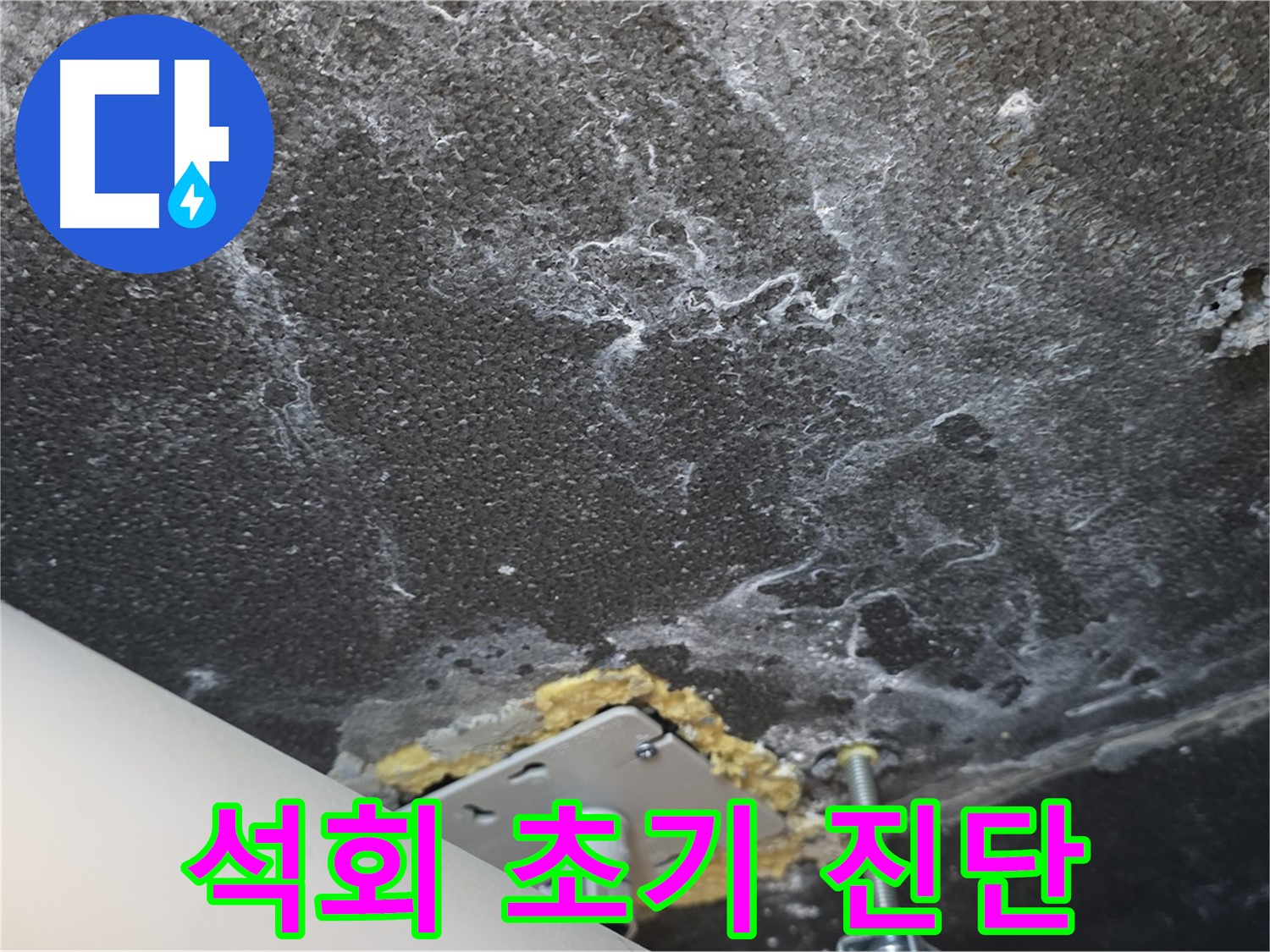 운정 어반프라임 누수 - 천장 누수 석회 초기 진단 및 상세 점검