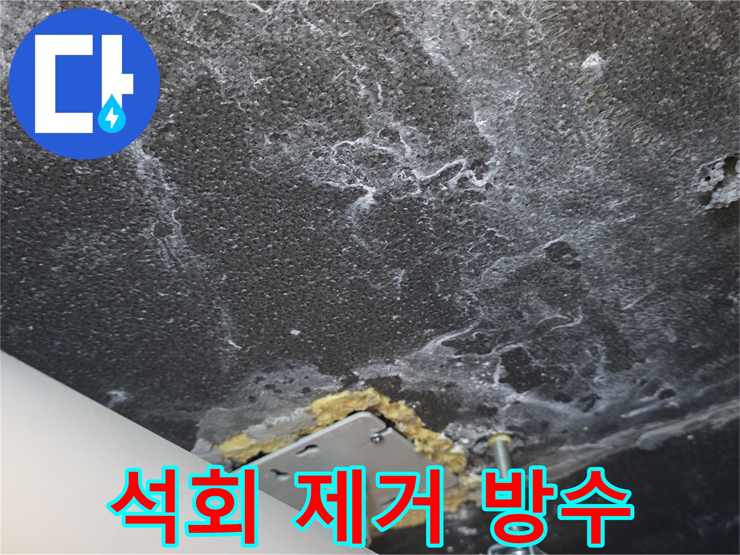운정 어반프라임 누수 - 천장 석회 제거 및 완벽 방수 공사 준비