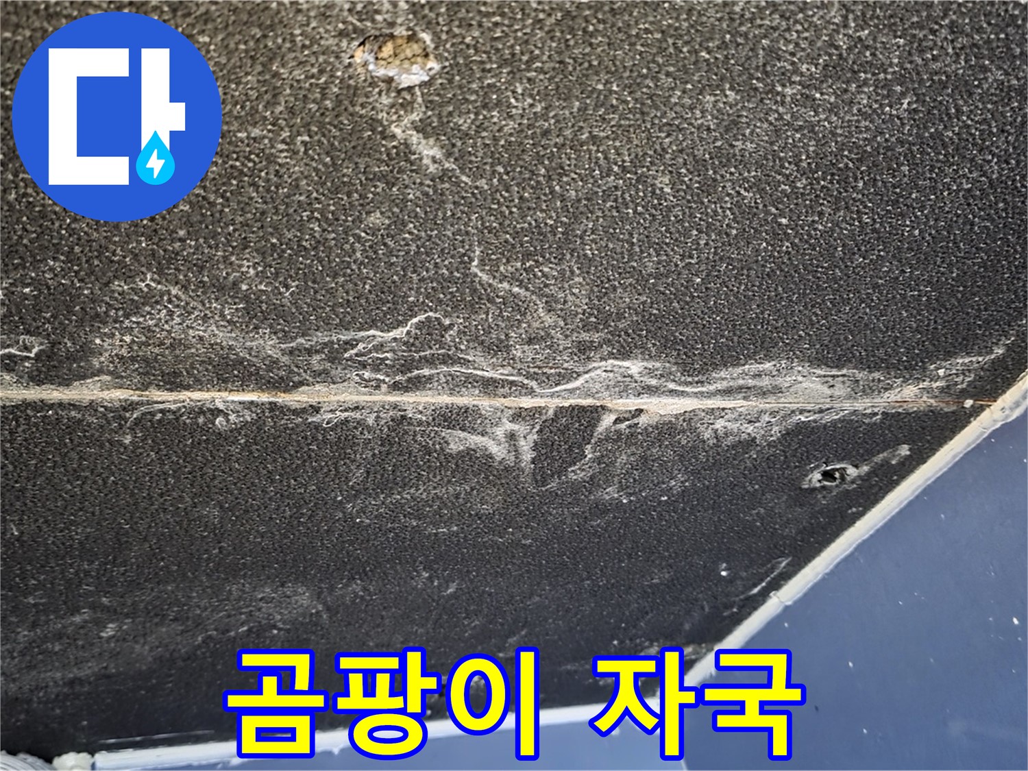 운정어반프라임 곰팡이 - 천장 석고보드 곰팡이 자국 확인