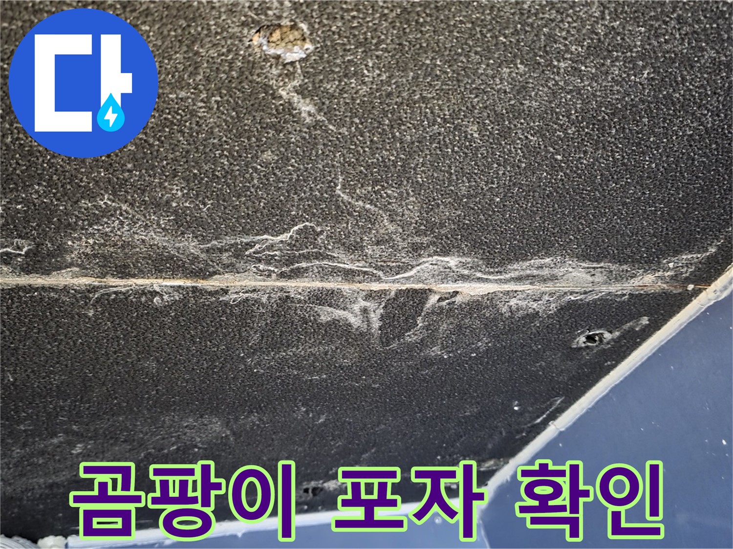운정어반프라임 곰팡이 포자 - 석고보드 곰팡이 포자 발생