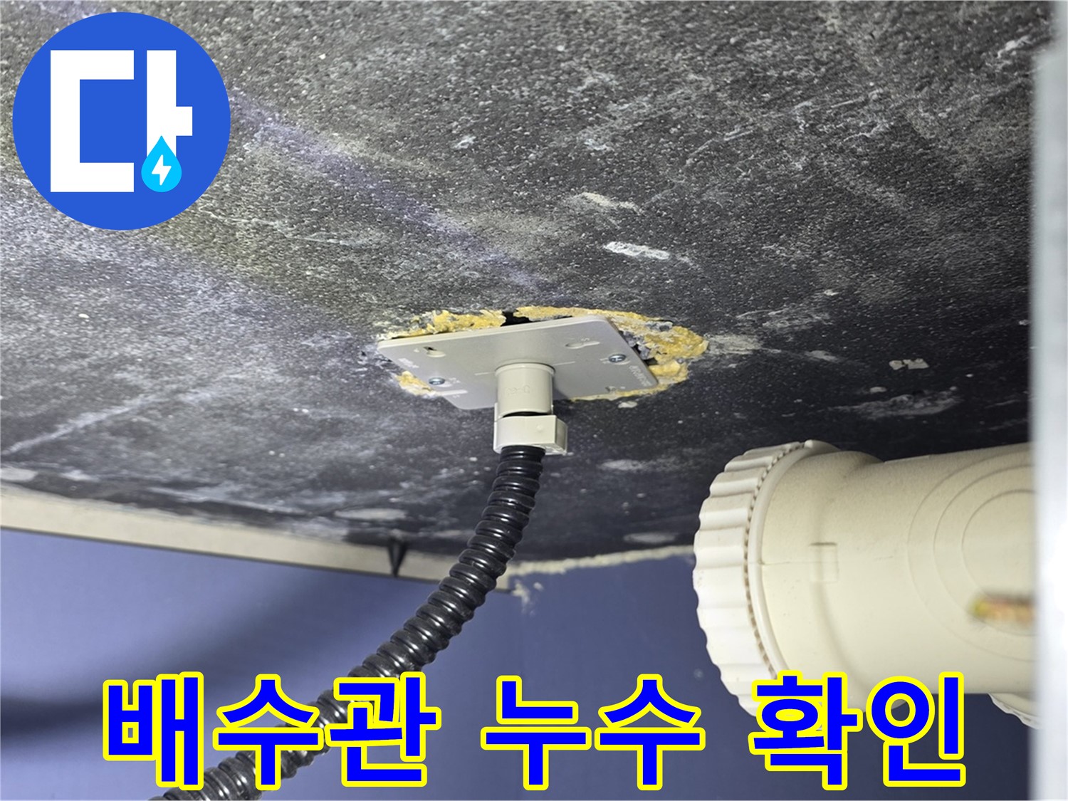 운정어반프라임 배수관 누수 - 배수관 연결부에서 누수 지점을 확인하는 모습