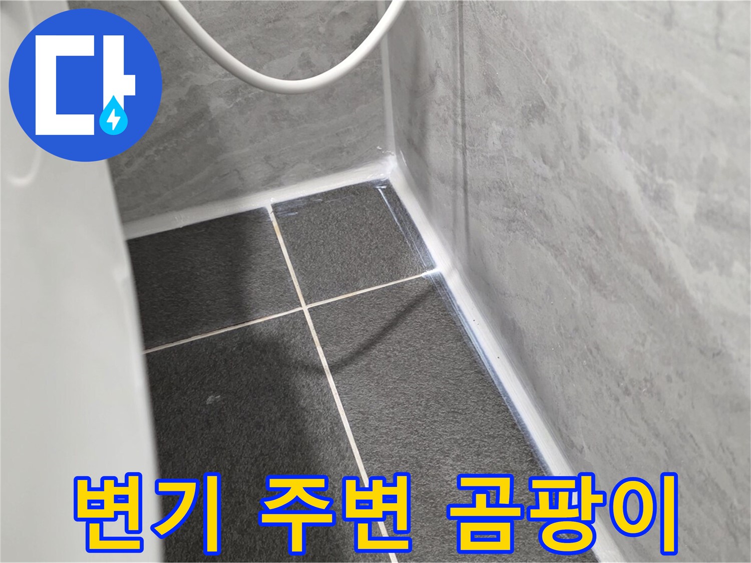 운정어반프라임 변기 - 변기 주변 곰팡이 발생 원인 분석