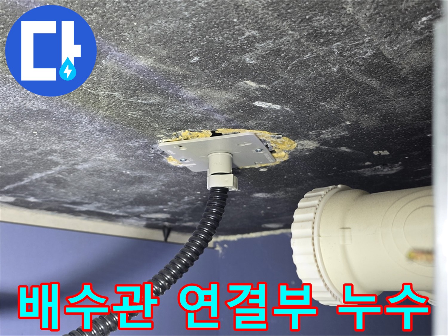 운정어반프라임 싱크대 누수 - 배수관 연결부에서 누수 지점을 확인하는 모습