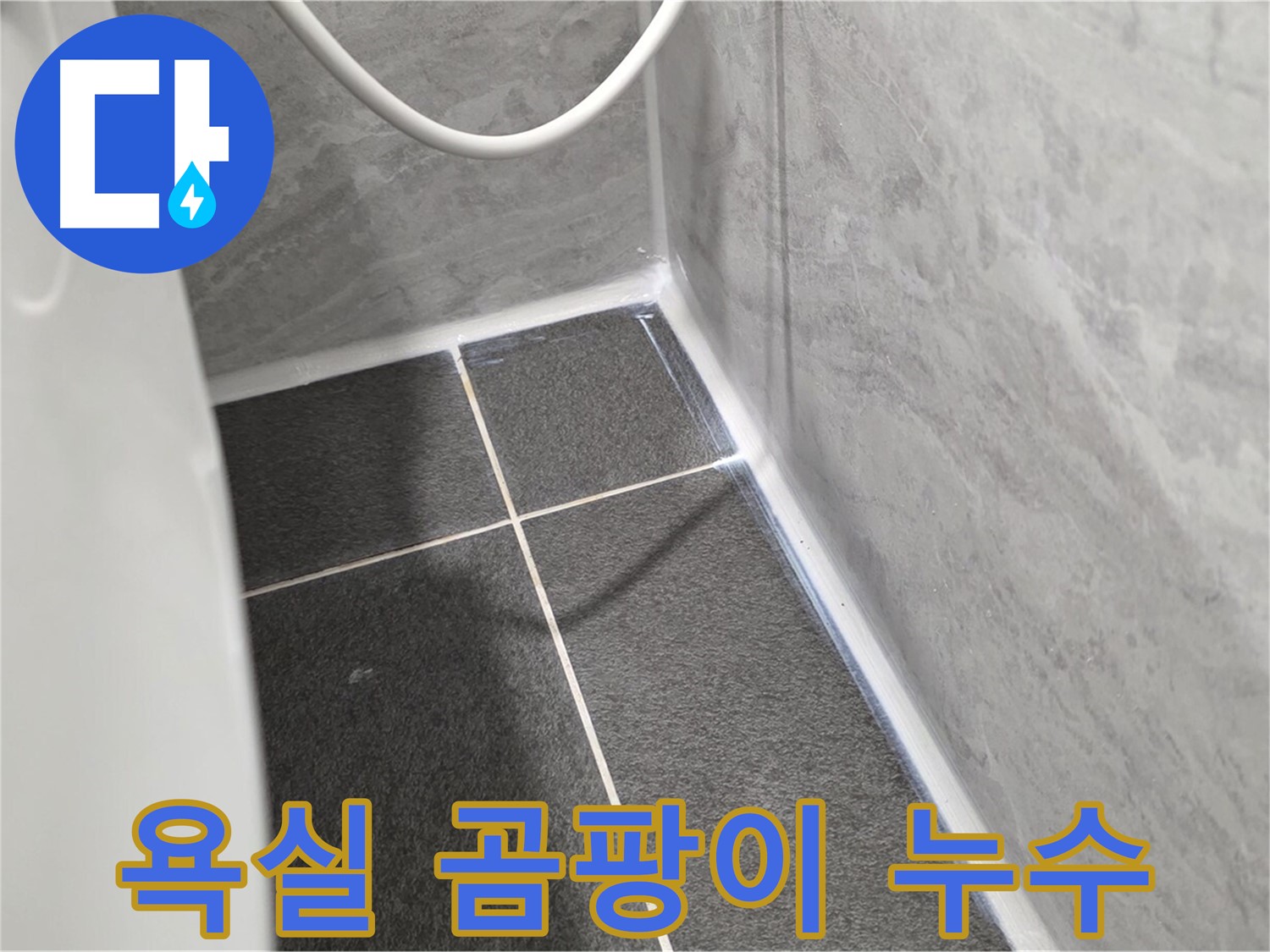 운정어반프라임 욕실 - 곰팡이 발생 지점, 누수 의심