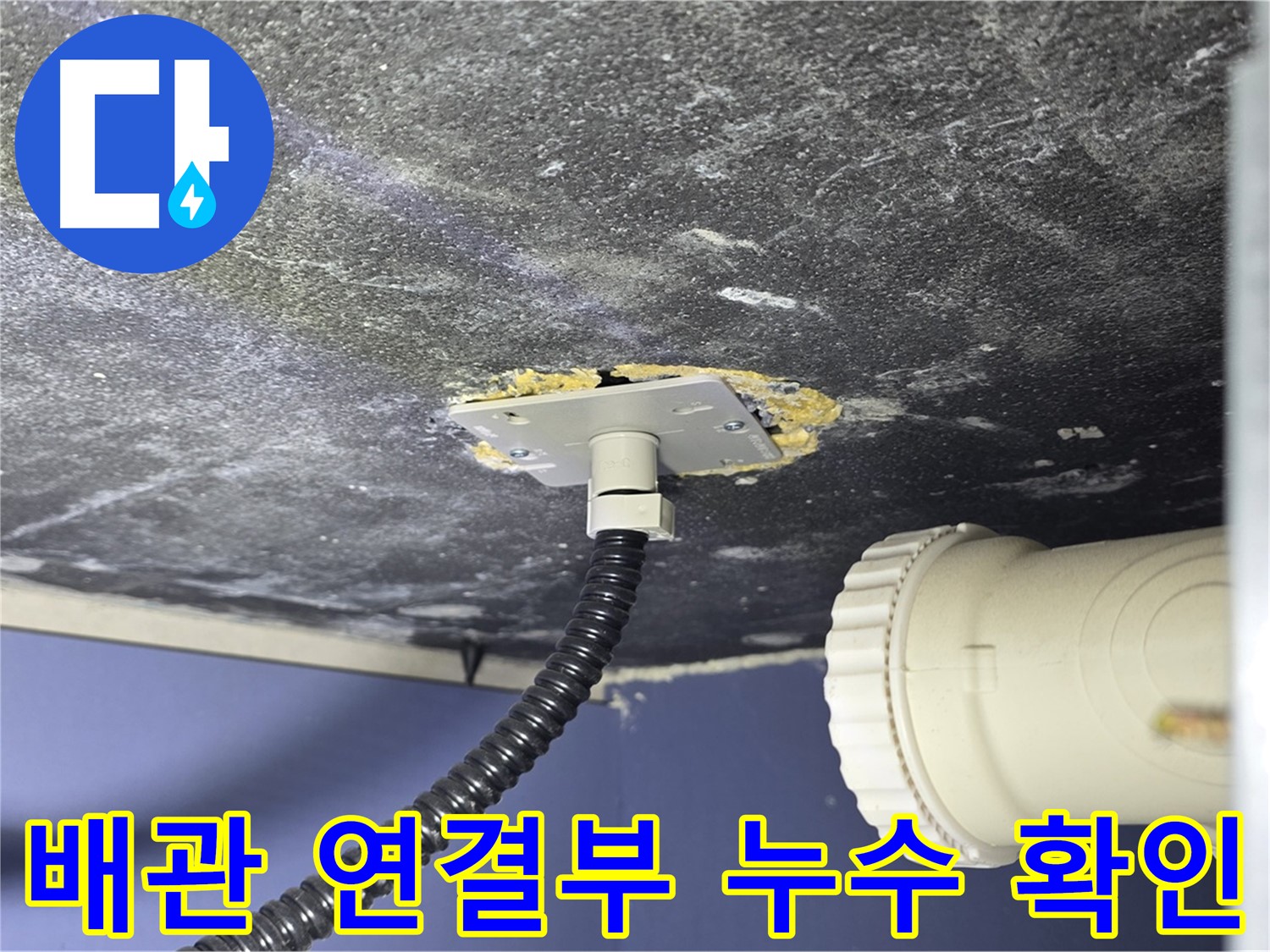 운정어반프라임 욕실 배관 연결부 누수 - 누수 지점을 확인하고 보수 계획을 세우는 모습