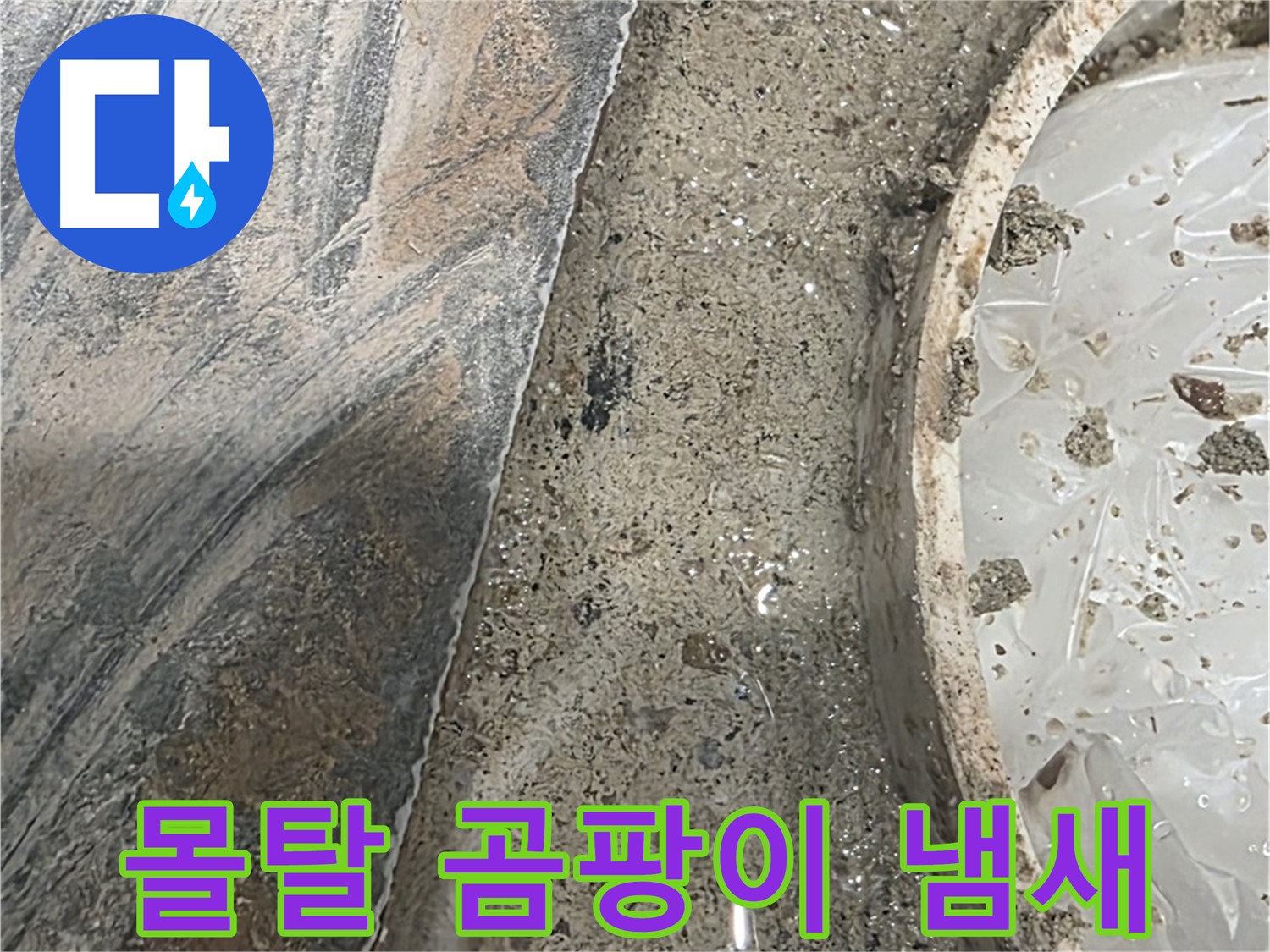 유가 주변 몰탈 곰팡이 - 습한 환경 - 누수 의심