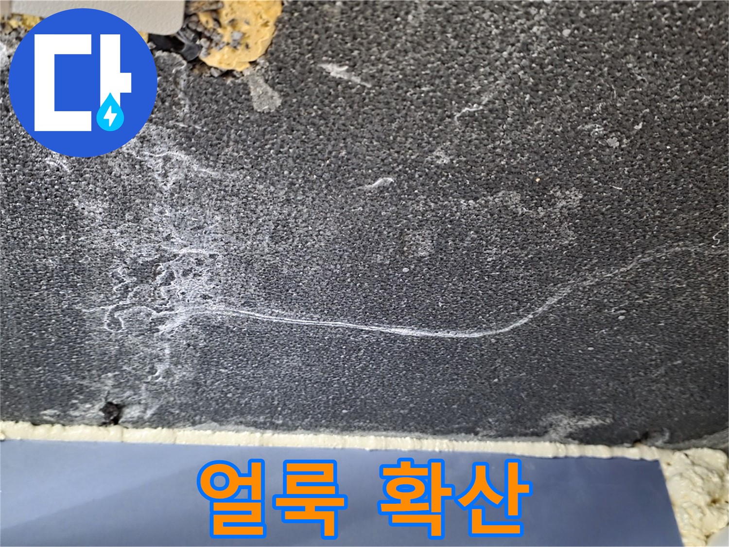 파주 동패동 아파트 곰팡이 누수 - 얼룩 확산 확인, 누수 범위 검사