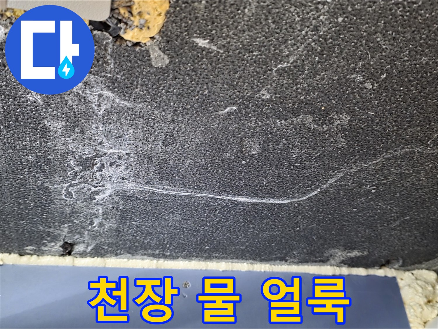 파주 동패동 아파트 천장 누수 - 물 얼룩 발생, 누수 범위 확인
