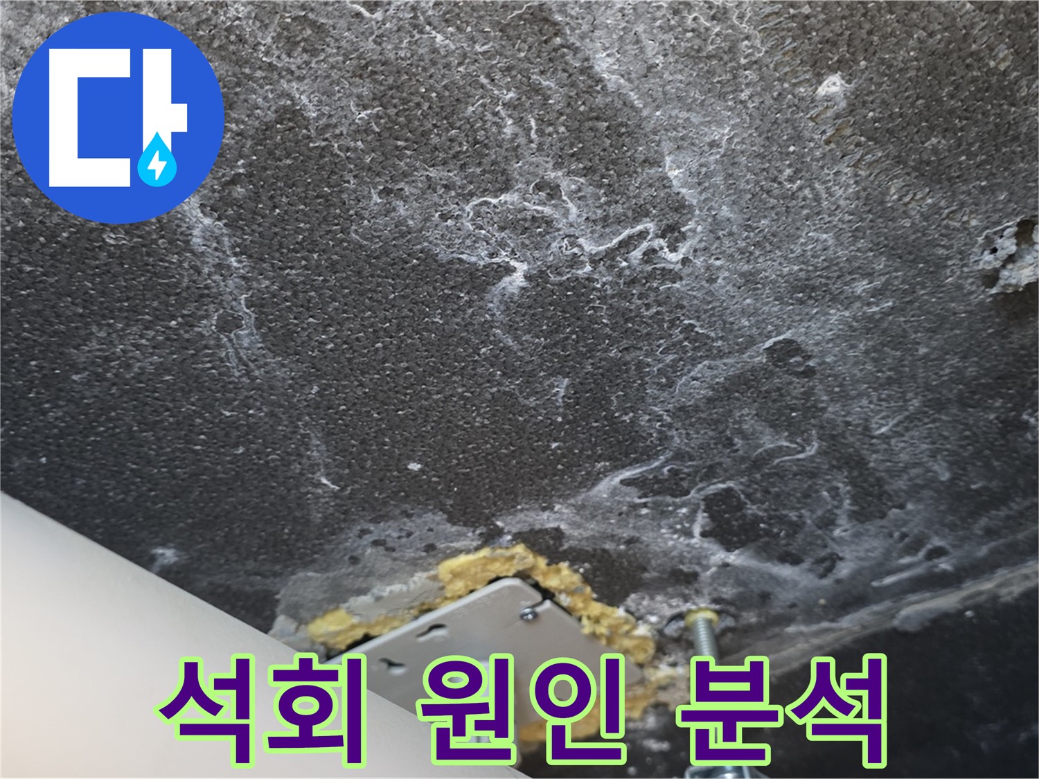 파주시 동패동 누수 - 천장 석회 누수 원인 꼼꼼하게 분석