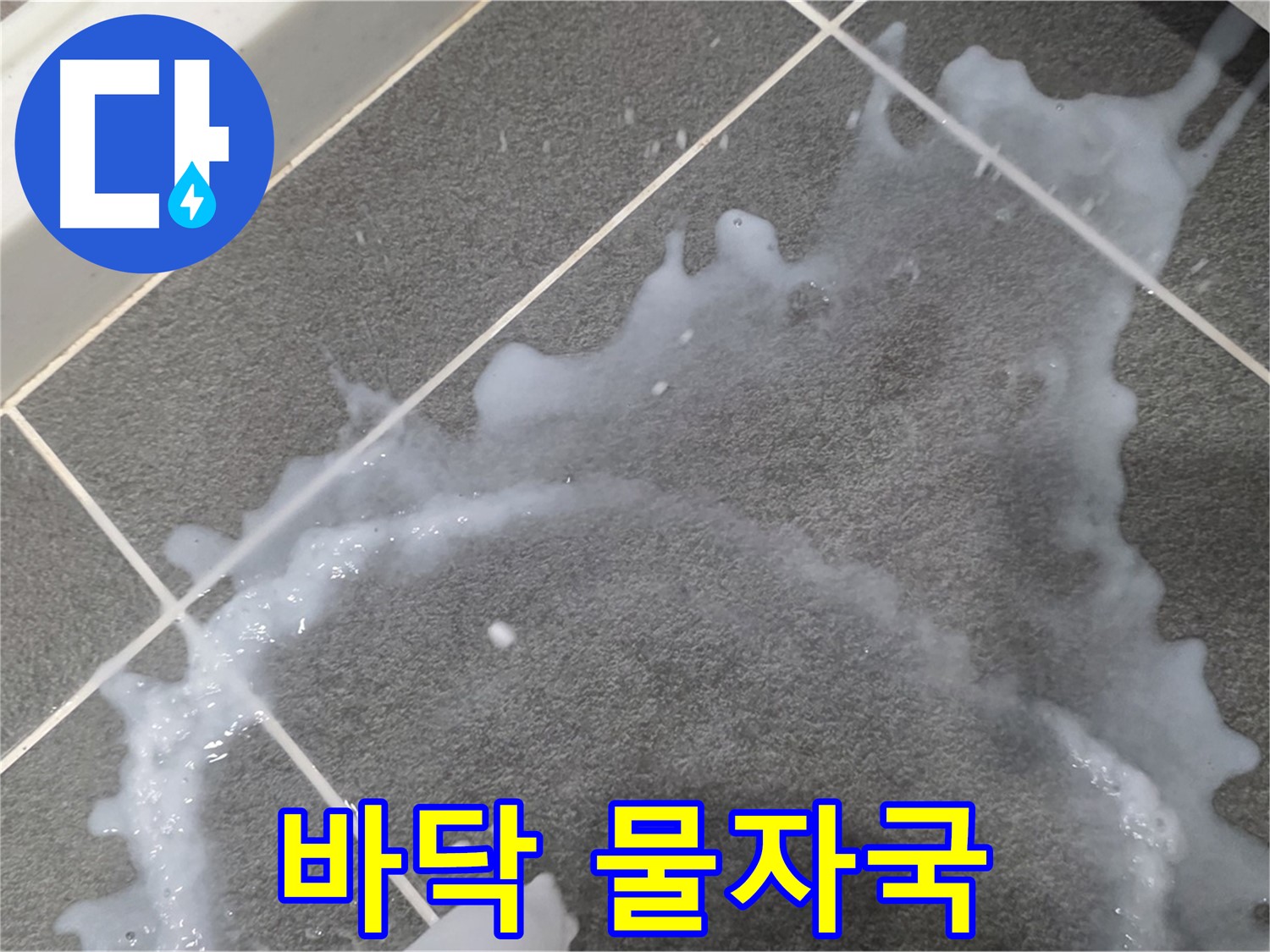 파주시 동패동 아파트 바닥 물자국 - 누수탐지 전문 업체가 누수 원인을 파악하고 완벽하게 해결합니다.