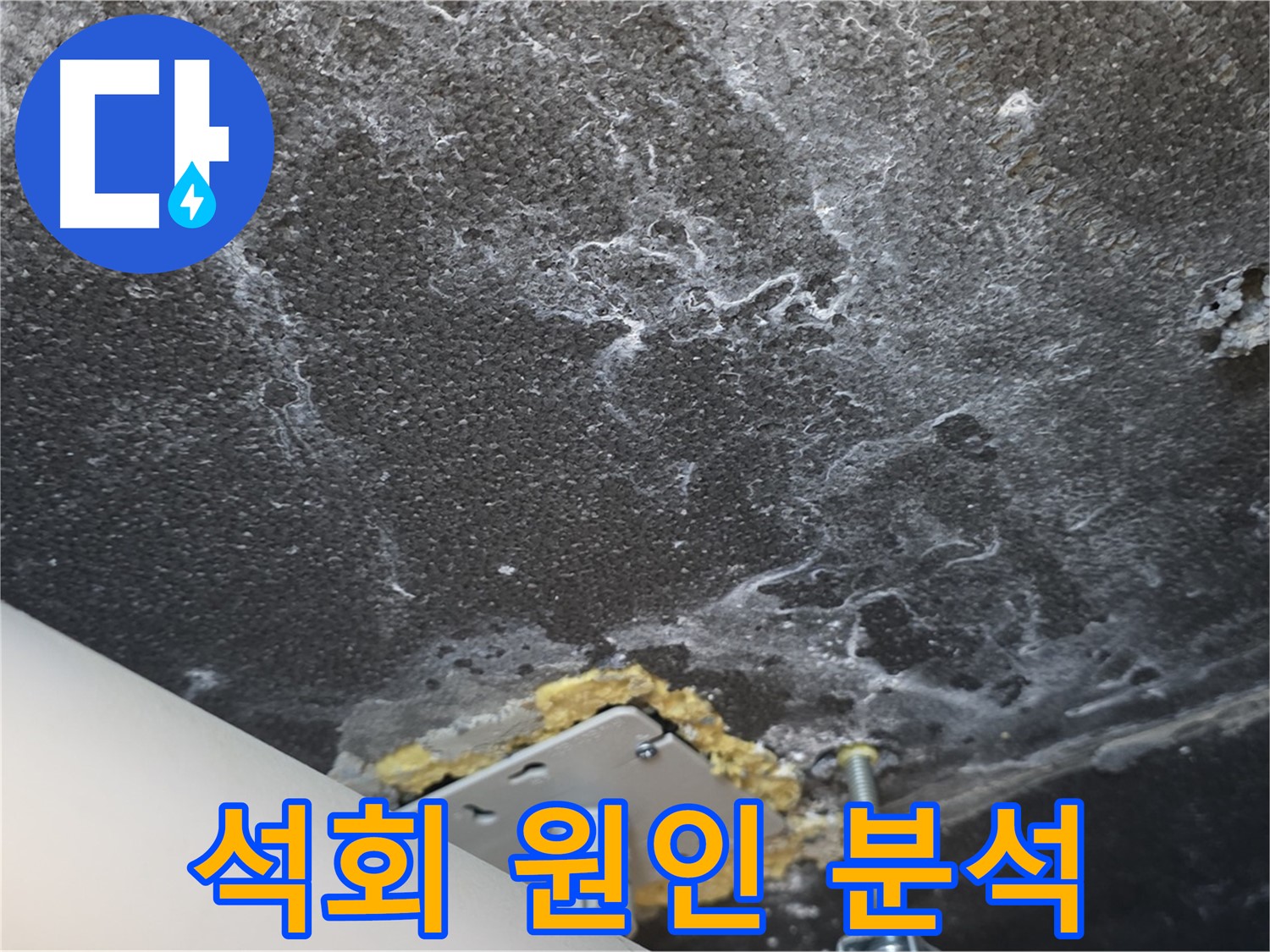파주시 동패동 아파트 천장 누수 - 석회 원인 정밀 분석 및 해결 과정