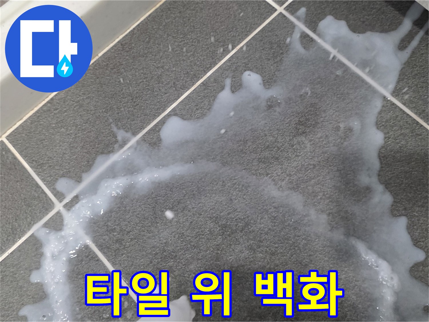 파주시 동패동 운정어반프라임 1201동 아파트 타일 위 백화 현상 - 긴급 누수 진단으로 원인을 찾습니다.