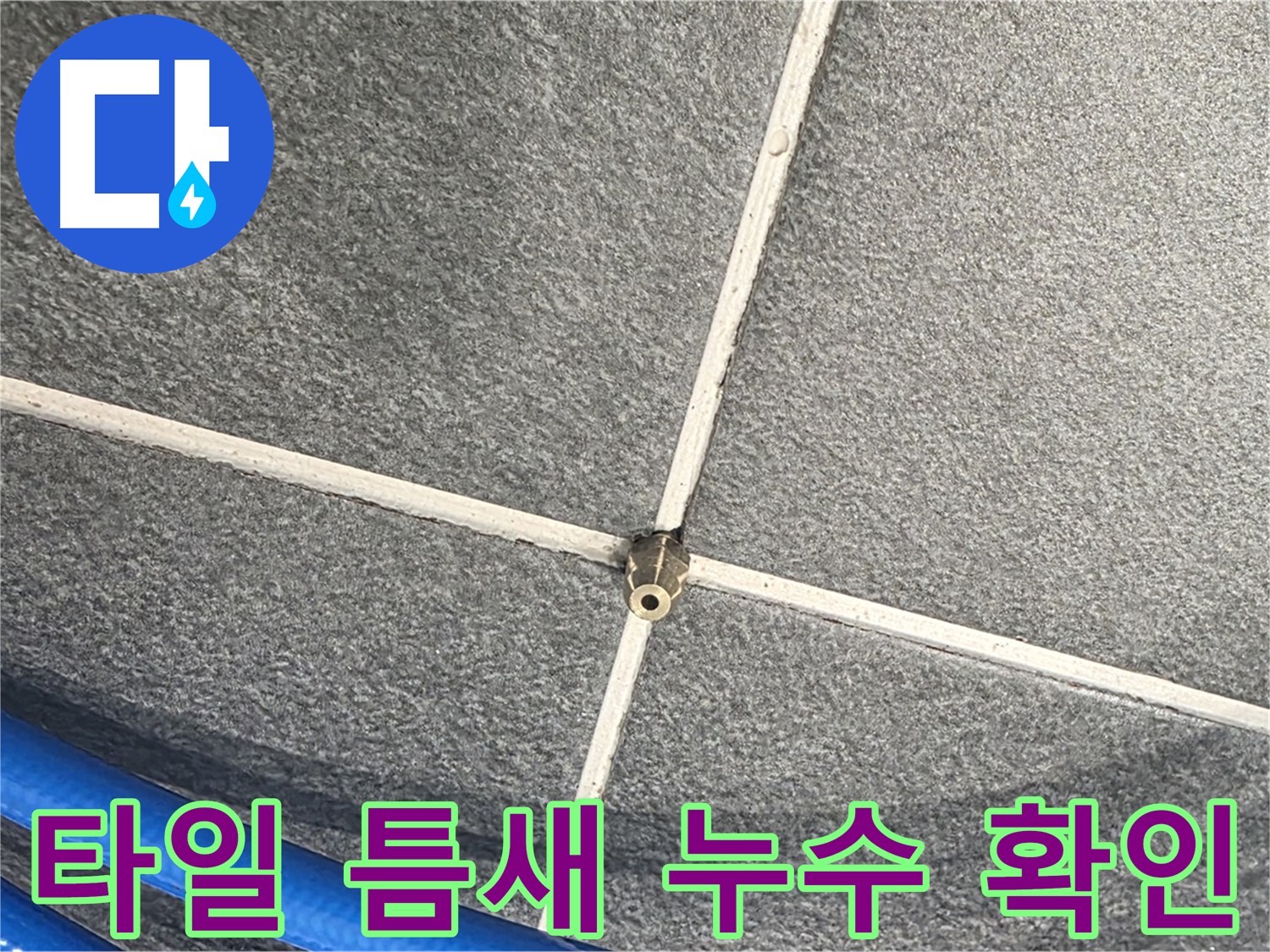 파주시 동패동 운정어반프라임 아파트 누수 - 타일 틈새에서 누수 흔적을 확인하고 있습니다.