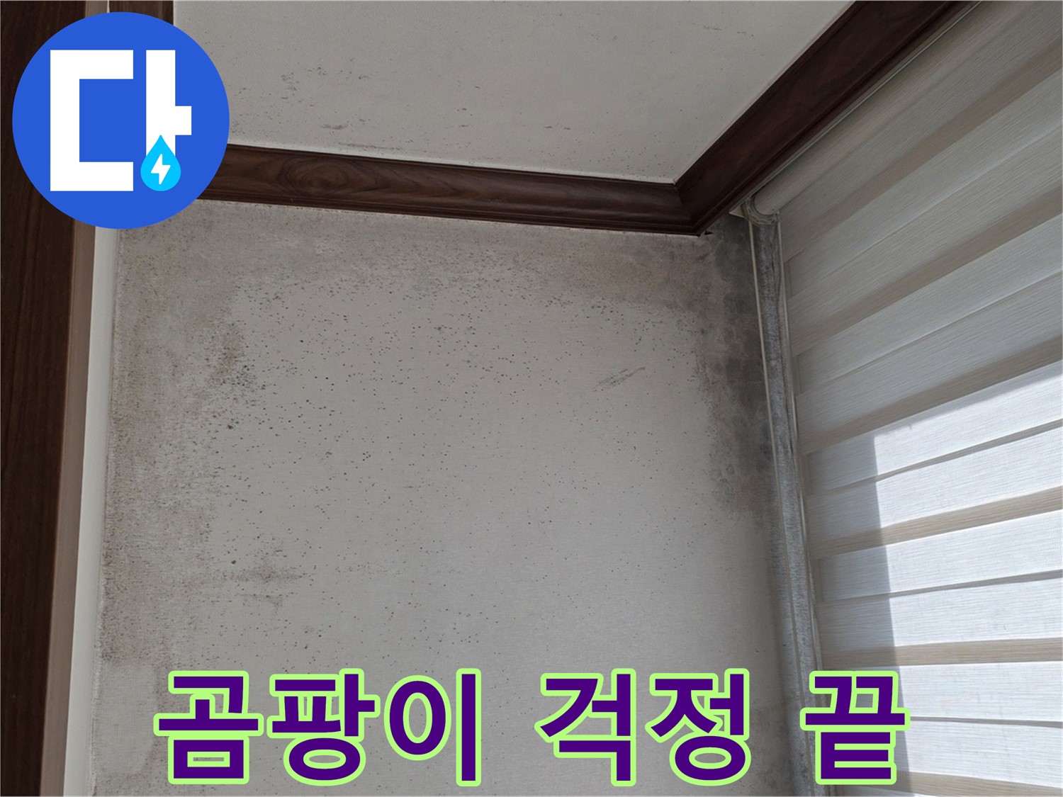 노원구 중계2동 현대5차 곰팡이 누수 - 곰팡이, 이제 걱정 끝 - 완벽 해결