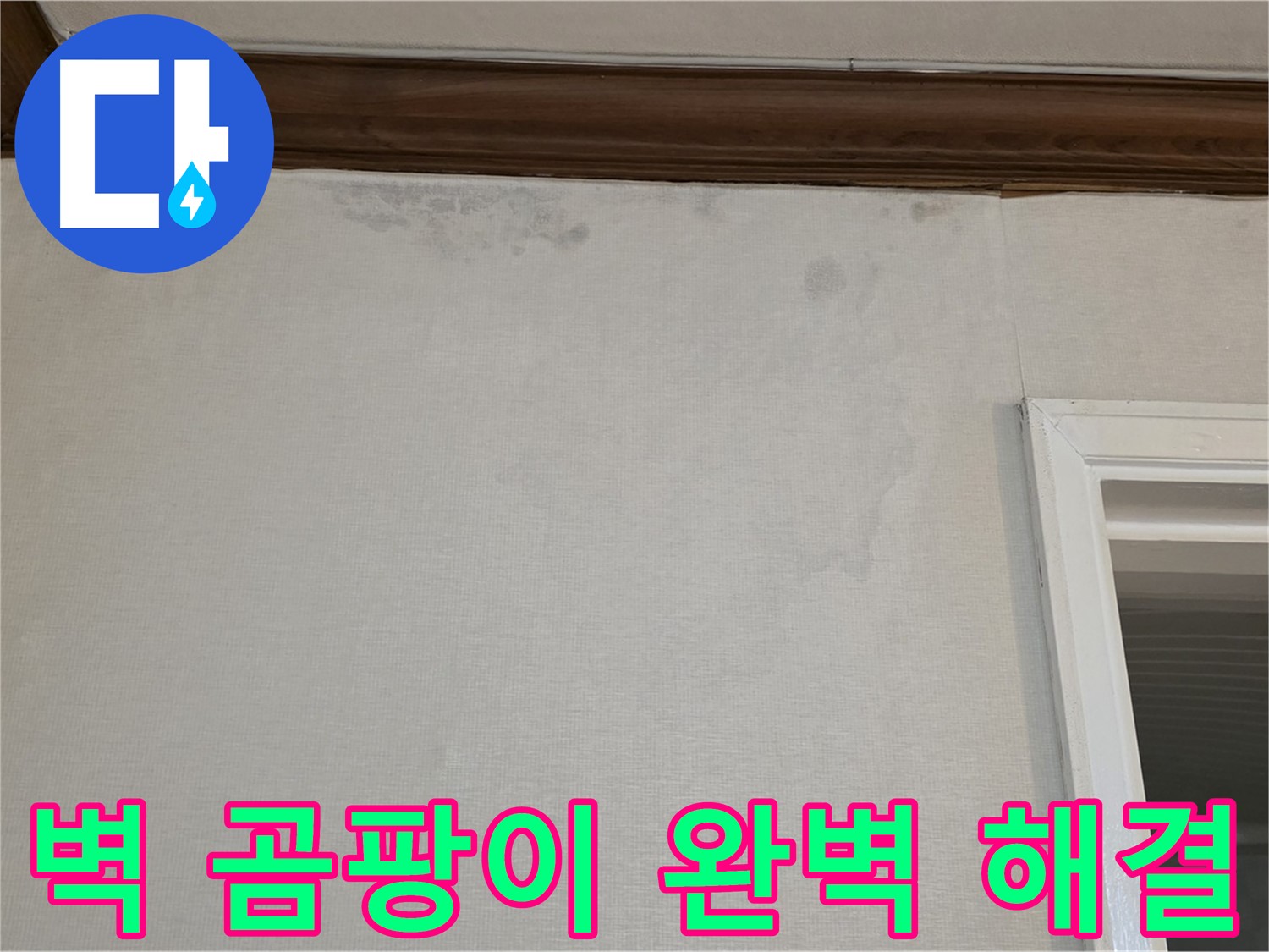 노원구 중계동 현대5차 211동 벽 곰팡이 - 완벽한 누수 해결 및 곰팡이 제거 약속