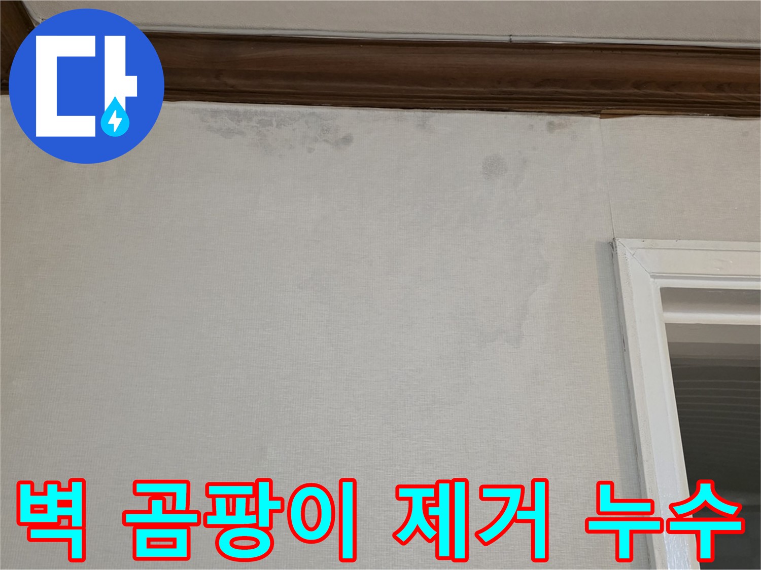 노원구 중계동 현대5차 211동 벽 곰팡이 제거 - 누수 해결 과정 상세 소개