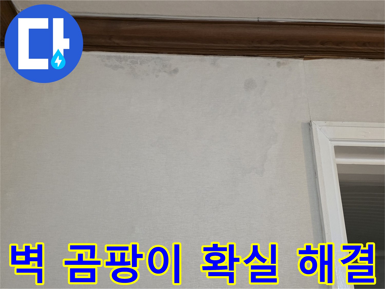 노원구 중계동 현대5차 211동 벽 곰팡이 - 확실한 누수 해결 및 곰팡이 제거
