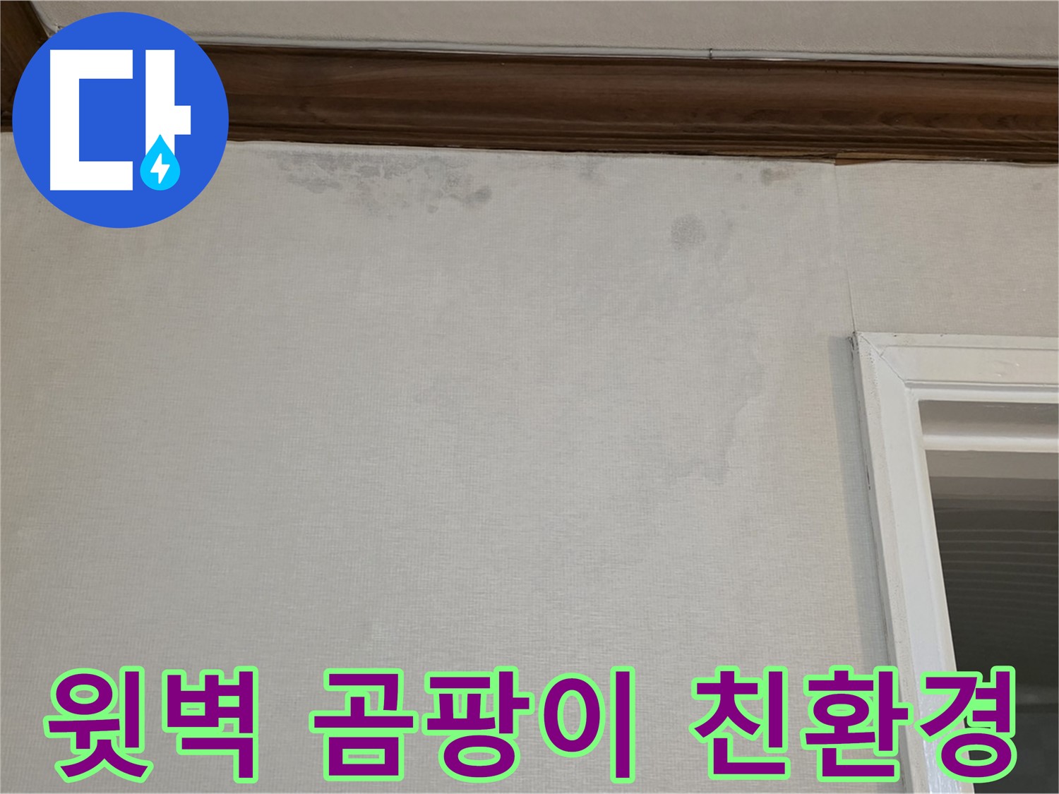 노원구 중계동 현대5차 211동 윗벽 곰팡이 - 친환경 공법으로 안전 시공