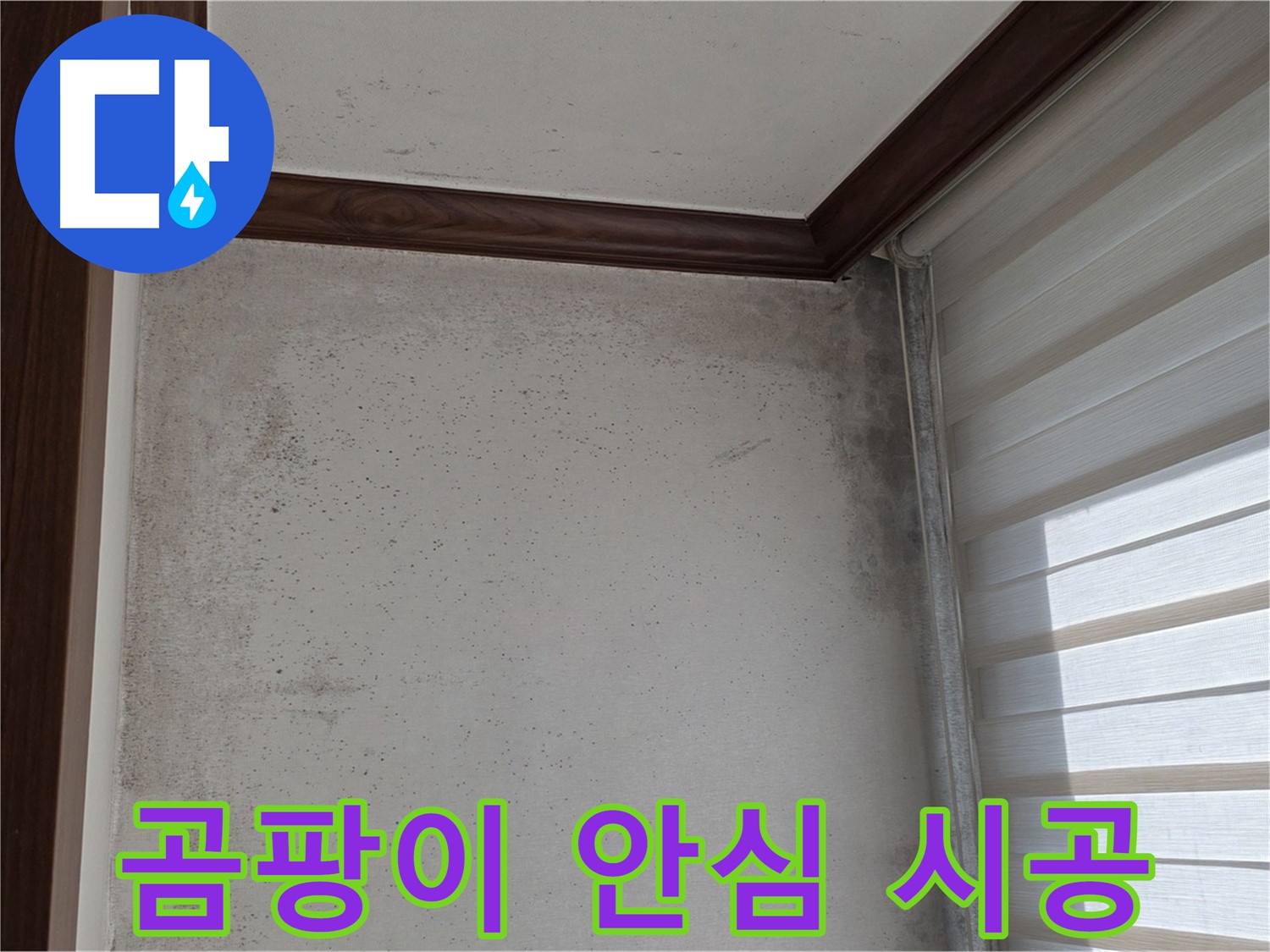 노원구 중계동 현대5차 곰팡이 누수 - 완벽 해결, 안심할 수 있는 시공