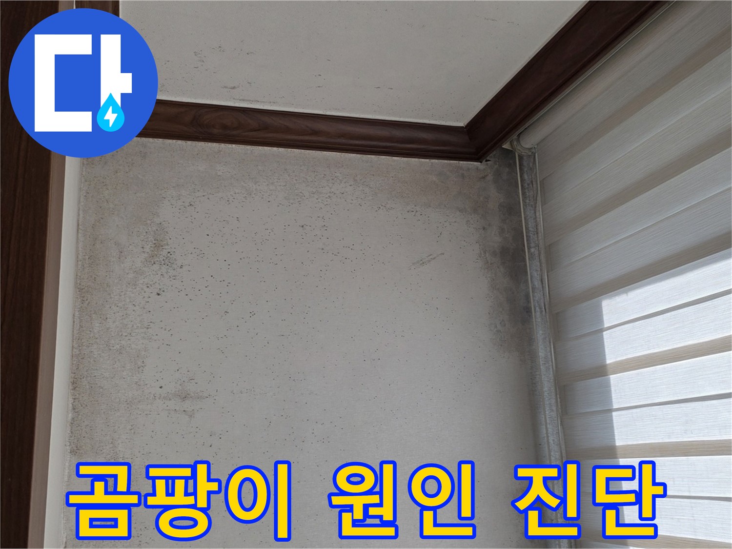 노원구 중계동 현대5차 곰팡이 누수 - 원인 진단 및 완벽 해결 책임 시공