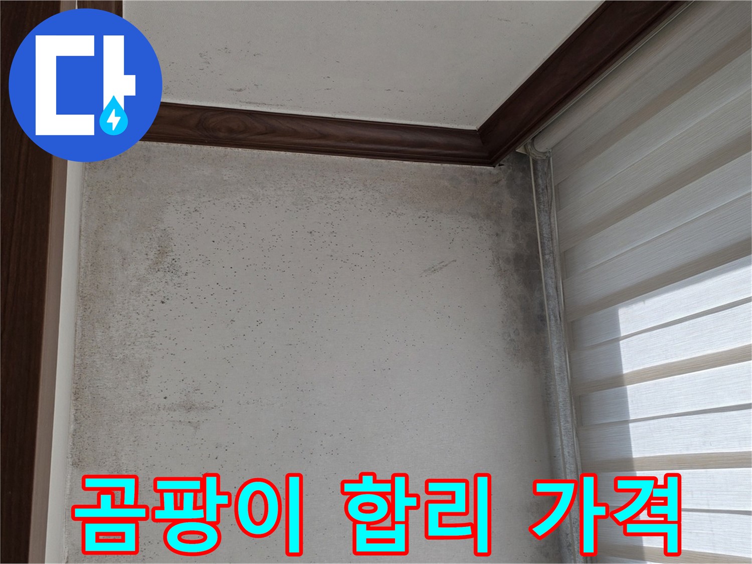 노원구 중계동 현대5차 곰팡이 누수 - 합리적인 가격으로 완벽 해결