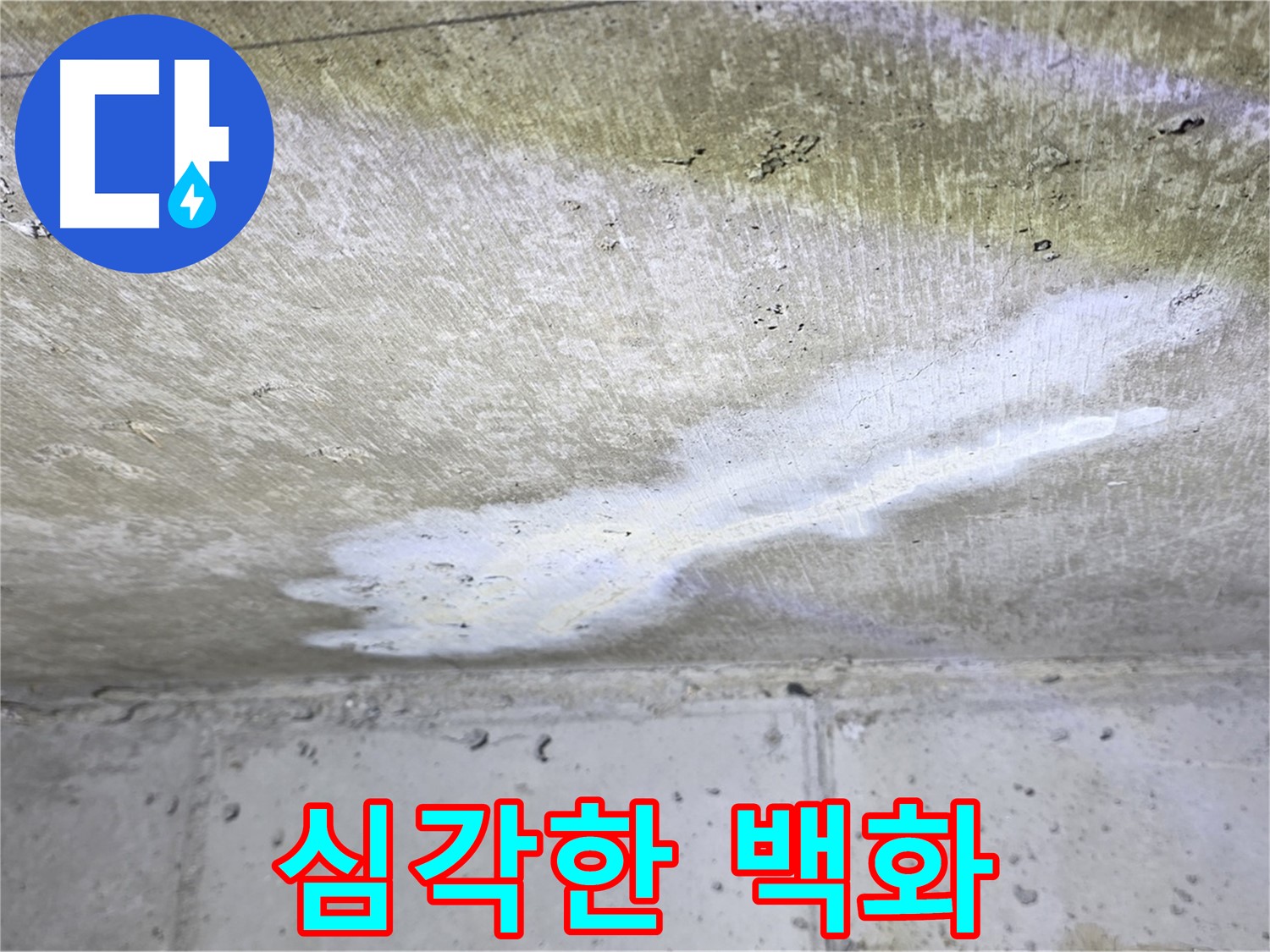 중계2동 현대5차 아파트 - 심각한 천장 백화 현상 - 누수 진행 중