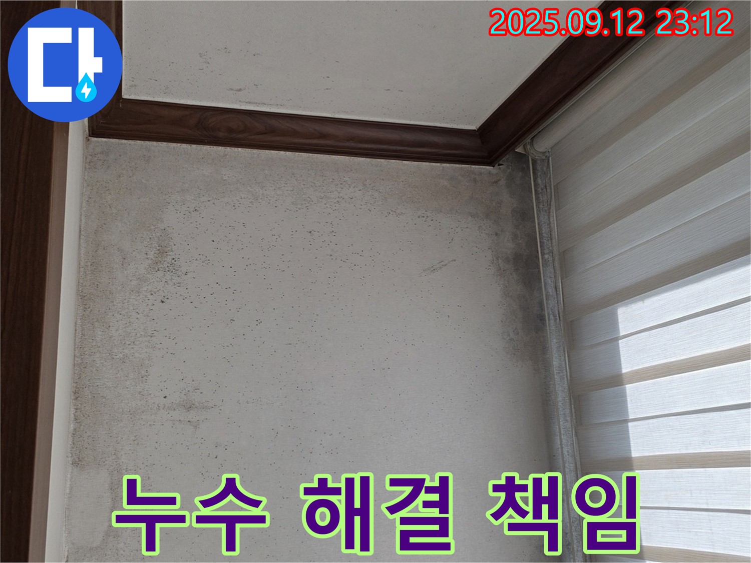 중계동 현대5차 211동 아파트 누수 현장 - 곰팡이와의 악몽을 종식시키고 누수 해결 전문가가 책임지고 해결합니다.