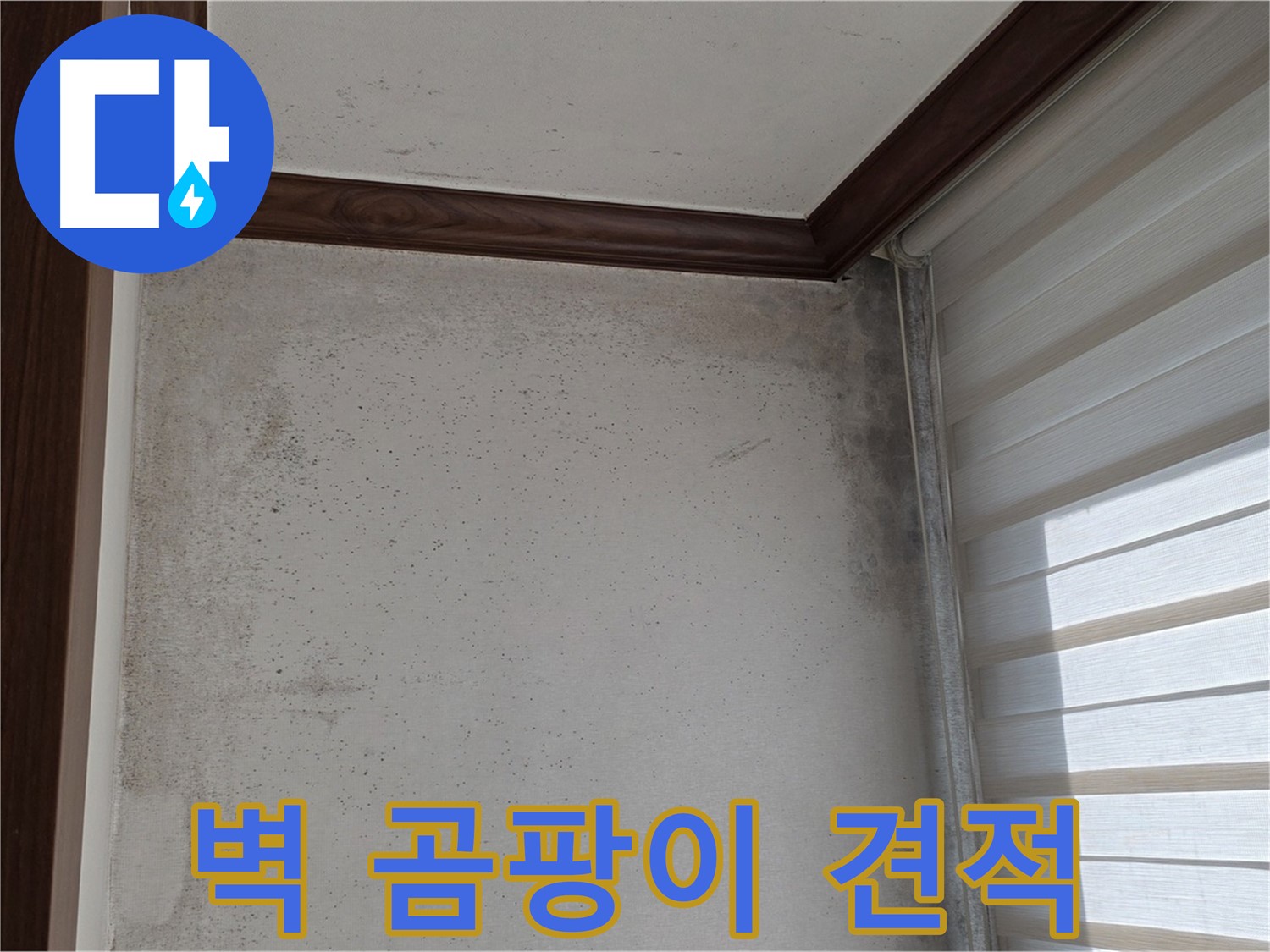 중계동 현대5차 벽 곰팡이 - 합리적인 누수 비용 상담 및 맞춤 솔루션