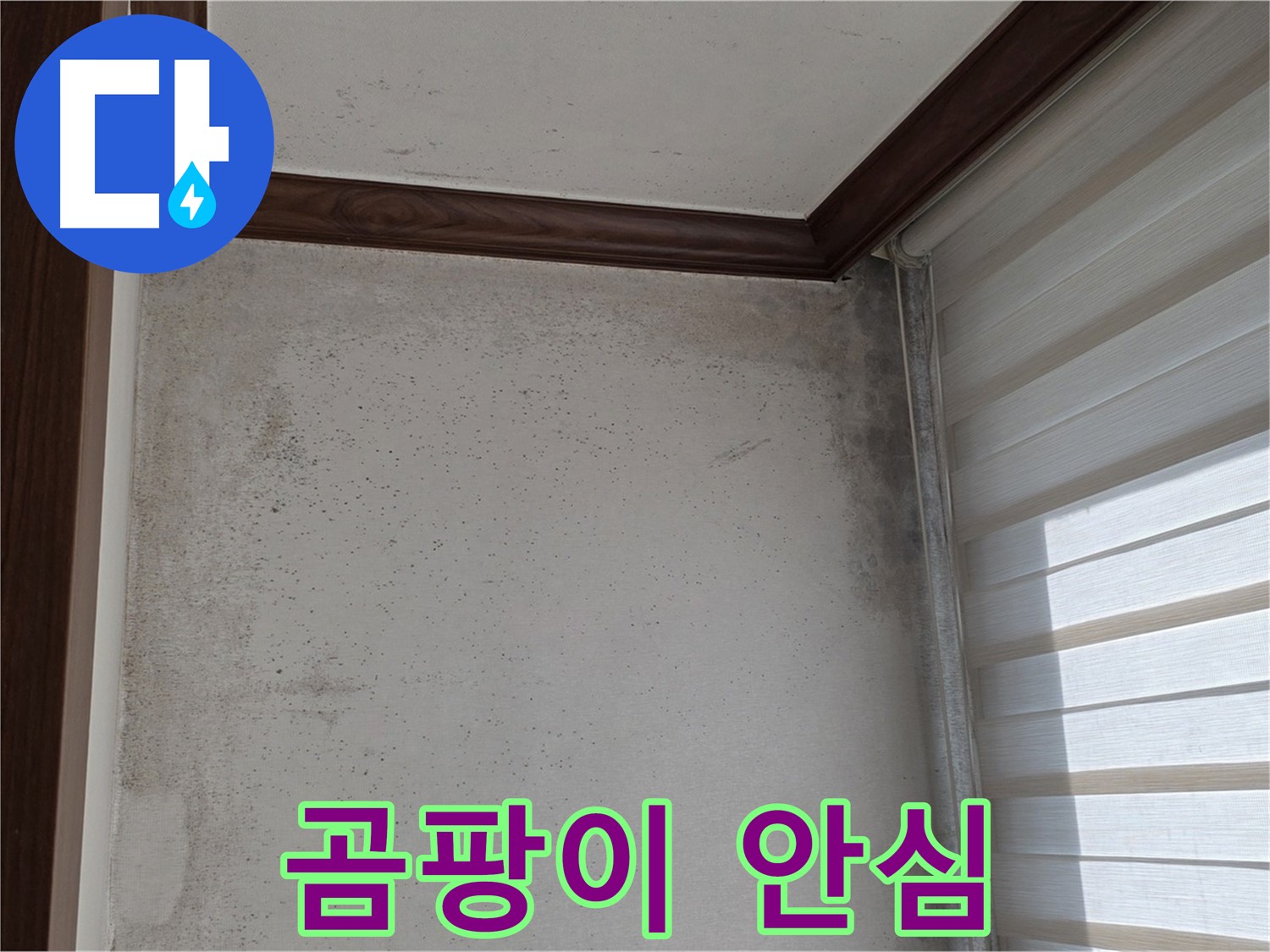 중계동 현대5차 아파트 곰팡이 누수 - 완벽하게 해결, 안심하고 맡겨주세요.