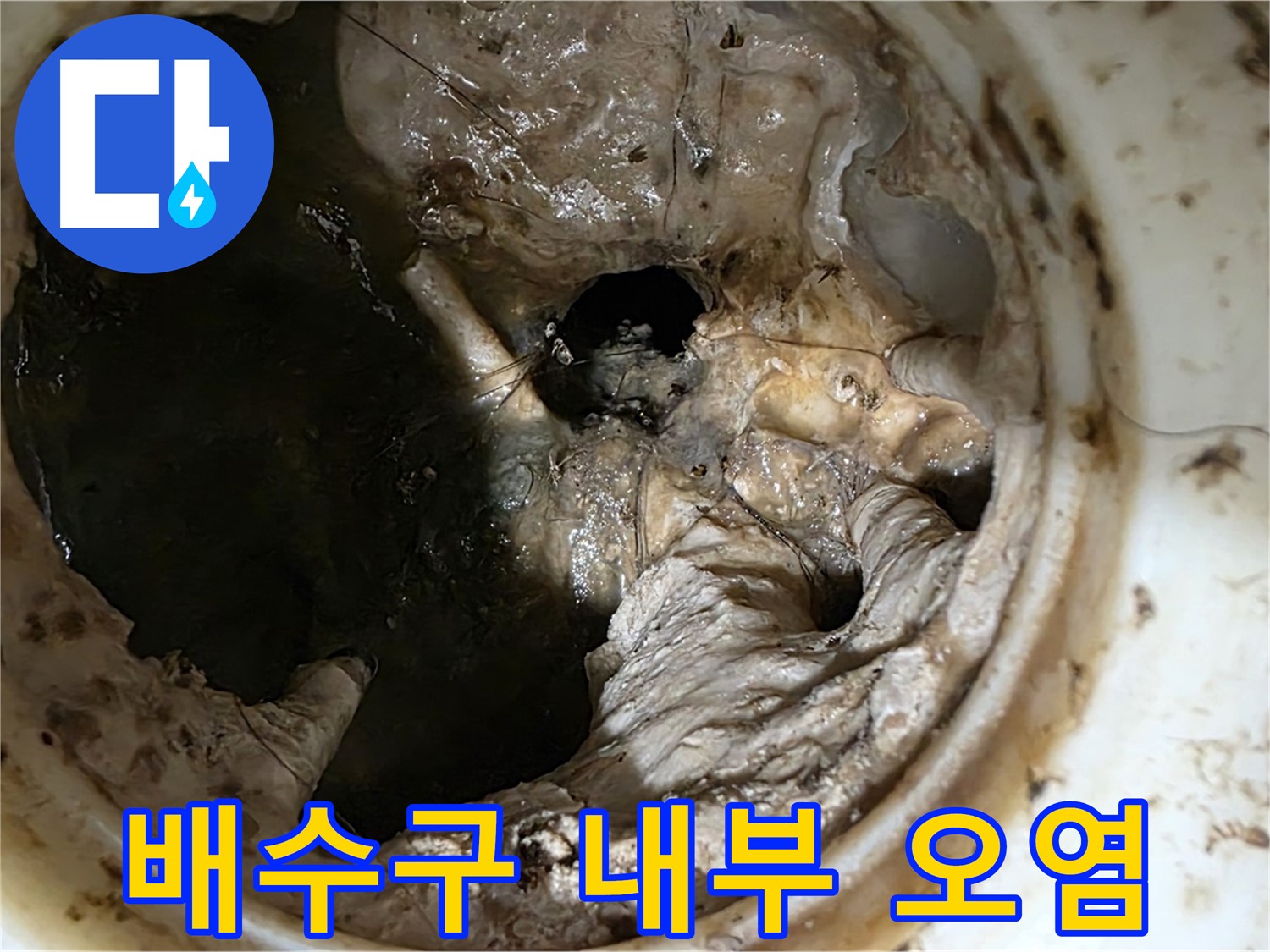 중계동 현대5차 아파트 싱크대 배수구 내부 오염 상태 - 누수 위험