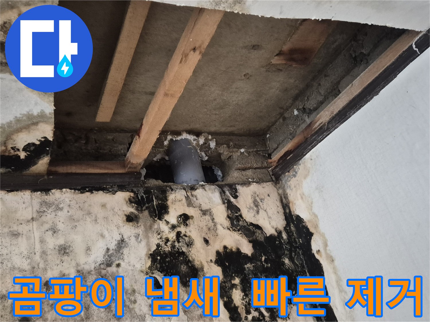 곰팡이 냄새 - 건강에 해로워요, 빠른 제거 필수