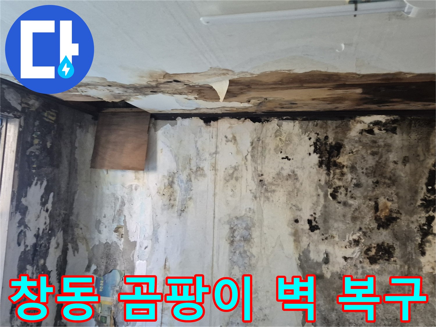 도봉구 창동 주택의 곰팡이 핀 벽면 - 누수 해결과 함께 완벽하게 복구된 과정을 보여줍니다.