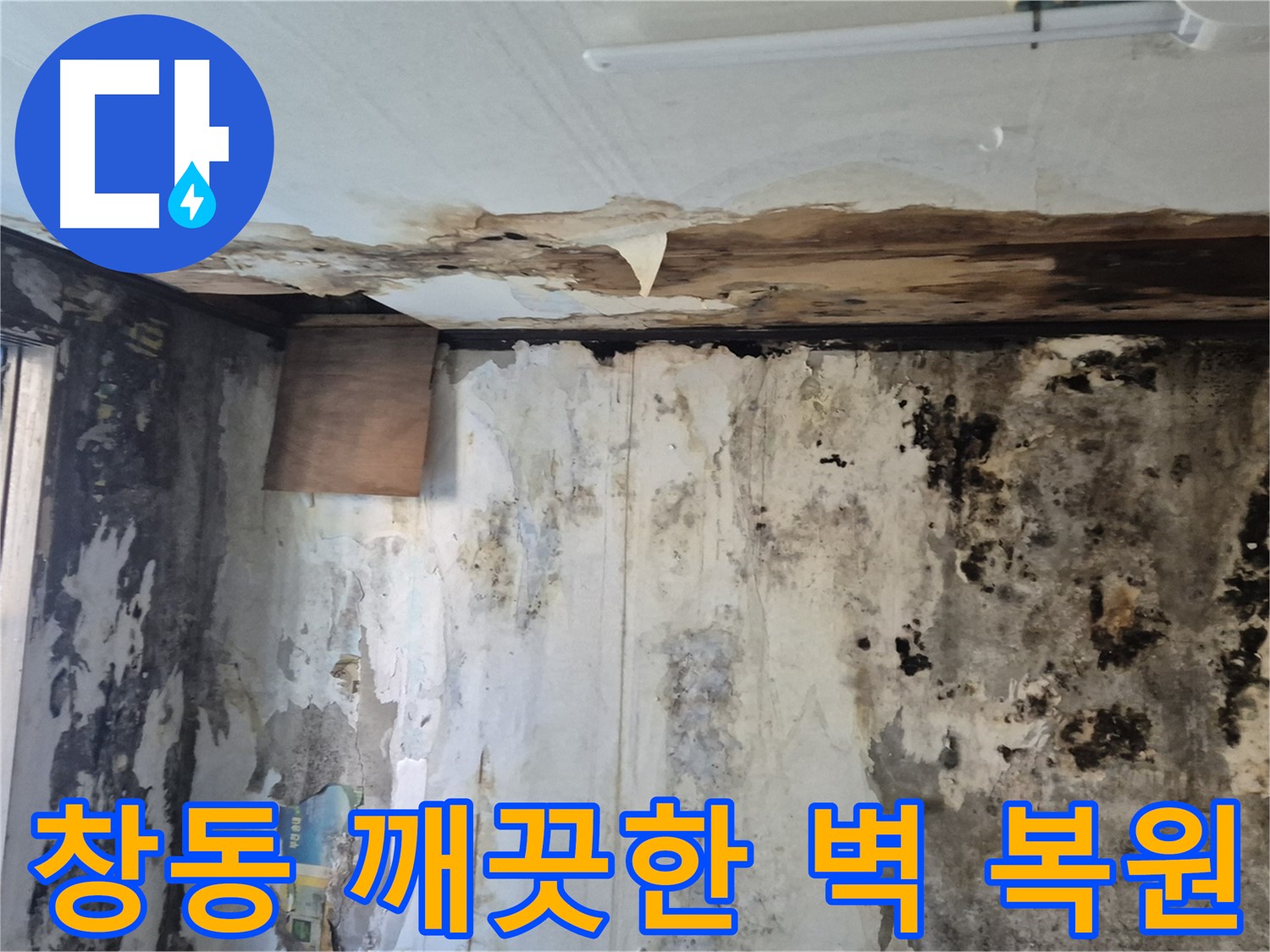 창동 주택의 곰팡이 핀 벽면 - 누수 해결과 함께 깨끗한 벽으로 되돌아온 모습입니다.