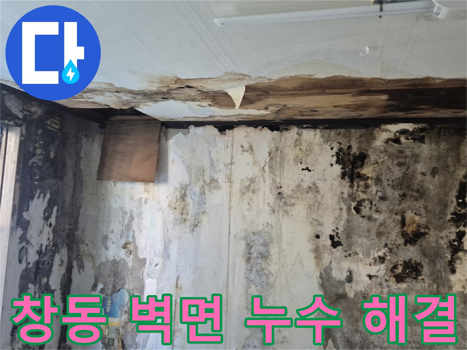 창동에서 발생한 벽면 누수 해결 과정 - 누수 원인 진단부터 완벽한 시공까지 꼼꼼하게 담았습니다.