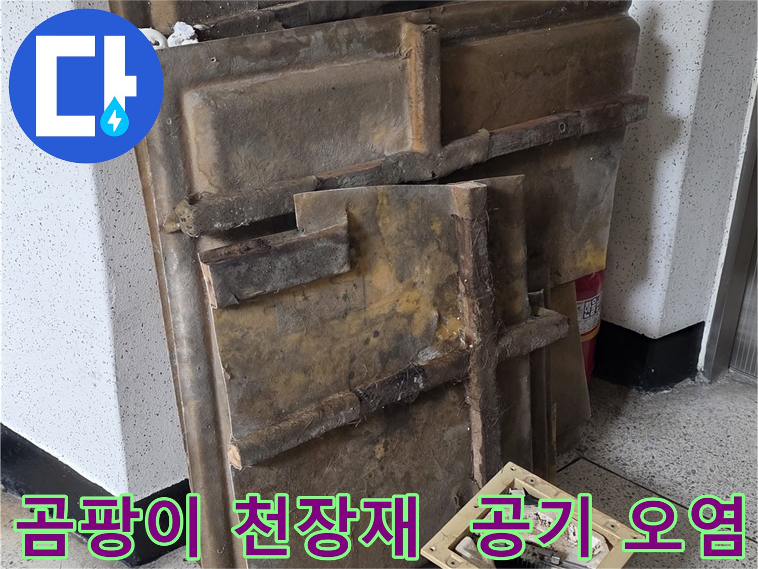 곰팡이 핀 천장재와 조명 - 실내 공기 오염의 주범