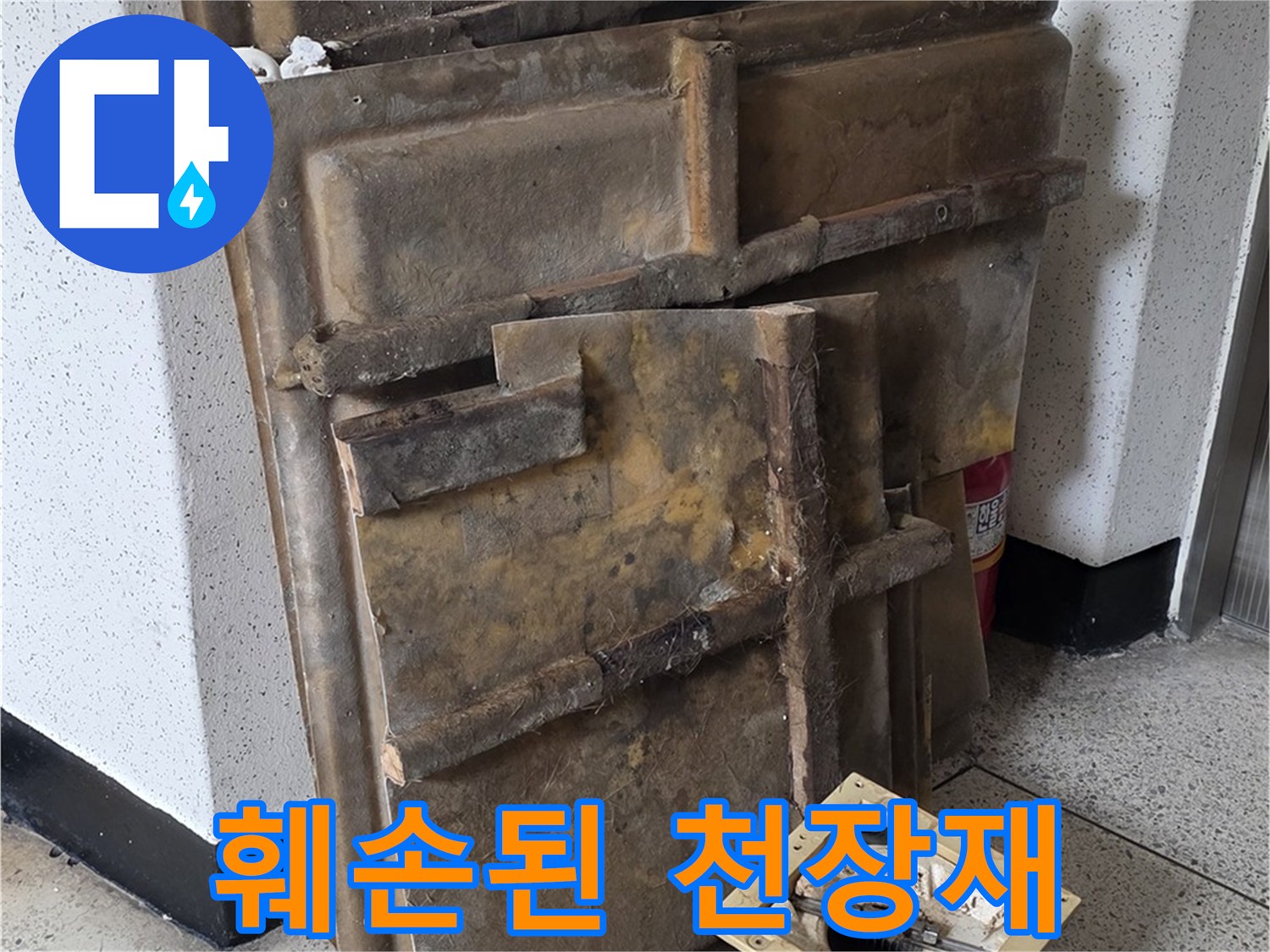 곰팡이와 누수로 훼손된 천장재와 조명 - 교체 필수