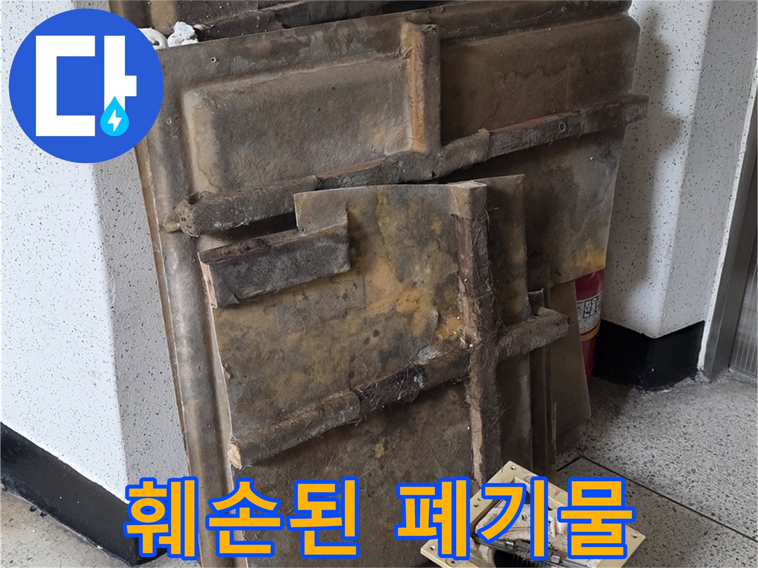 곰팡이와 습기로 인해 훼손 심각