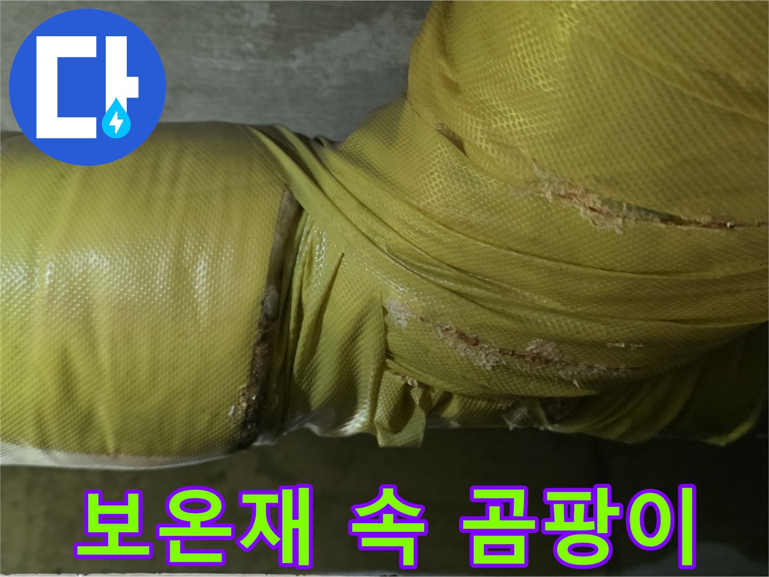 배관 보온재 속 곰팡이 - 곰팡이 냄새의 주범, 누수와 함께 건강을 위협합니다.