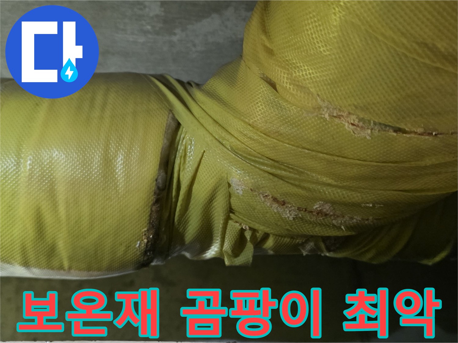 보온재 속 곰팡이 - 실내 공기 최악, 건강 위협 최고조, 전문적인 케어 필요