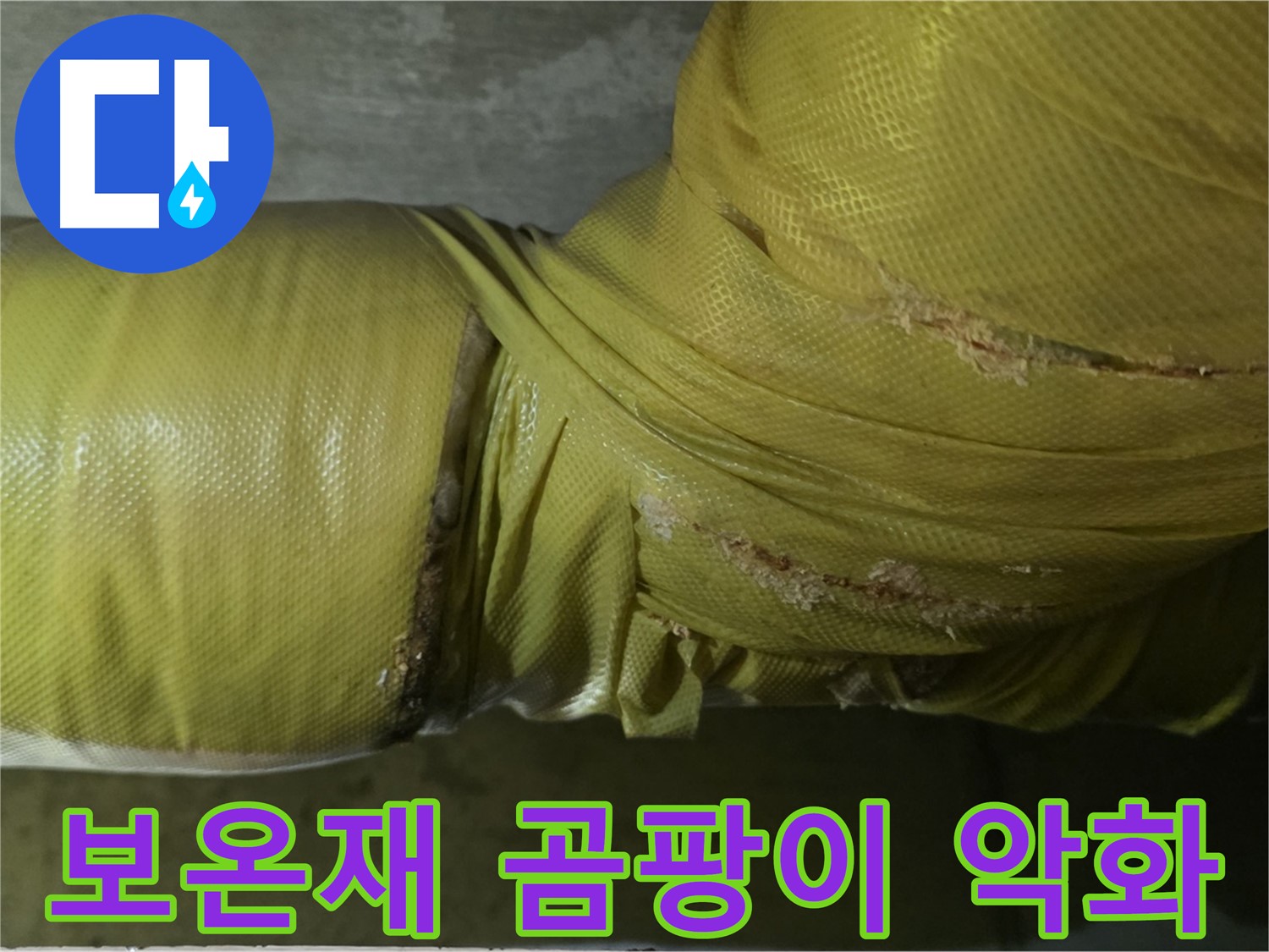 보온재 속 곰팡이 - 심각한 실내 공기 질 악화, 건강 문제 유발, 전문적인 케어가 필요합니다.