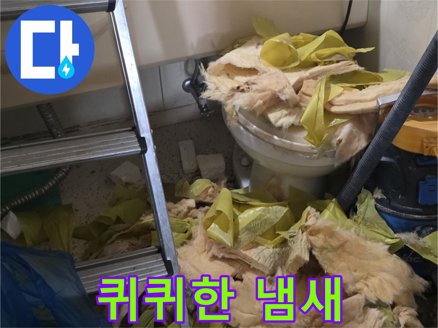 새절 누수 현장 - 곰팡이와 습기에 쩔은 보온재, 퀴퀴한 냄새 - 건강 위협